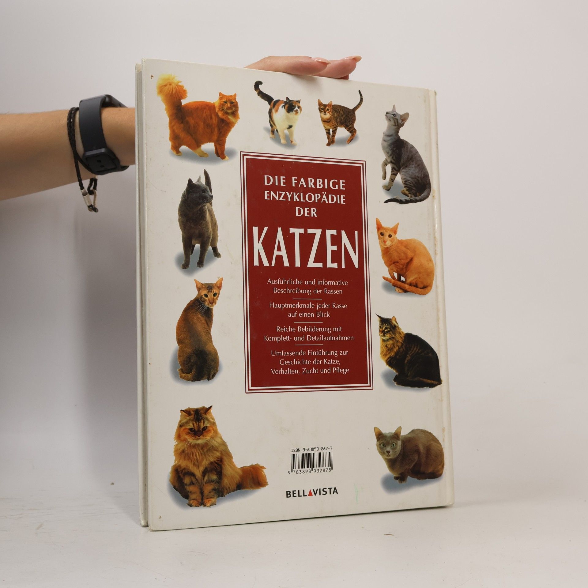 Angela Rixon Die farbige Enzyklopadie der Katzen