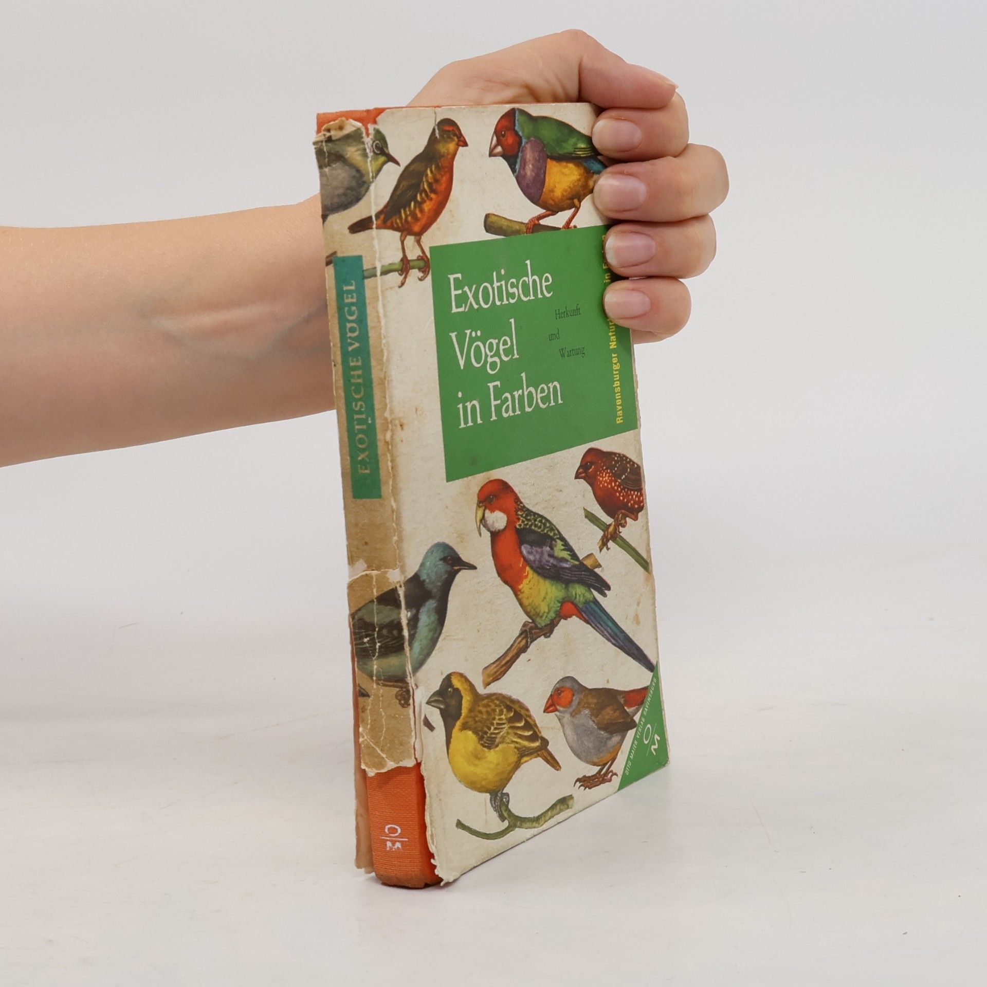 Autorenkollektiv Exotische Vögel in Farben