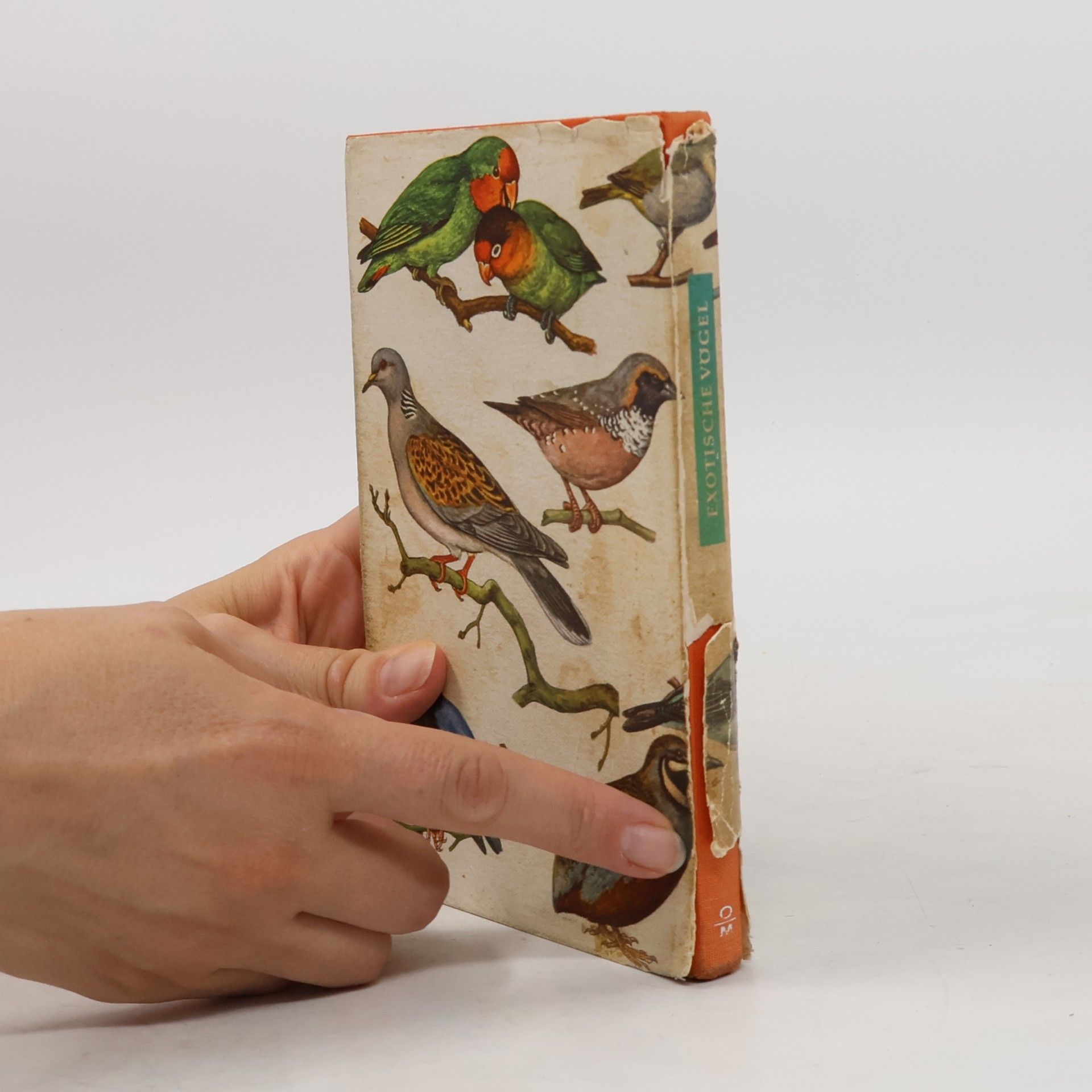 Various authors Exotische Vögel in Farben