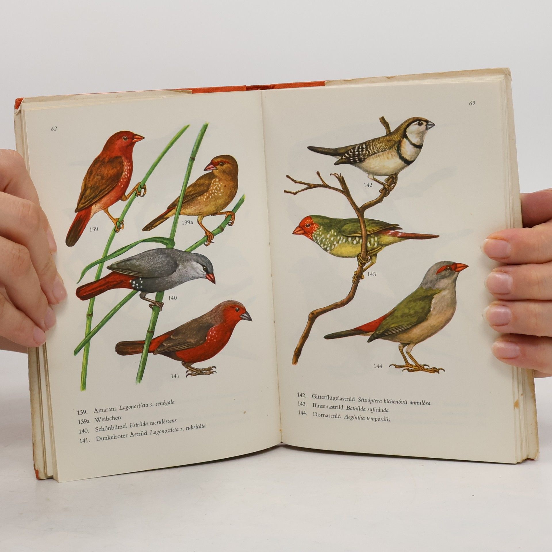 Various authors Exotische Vögel in Farben