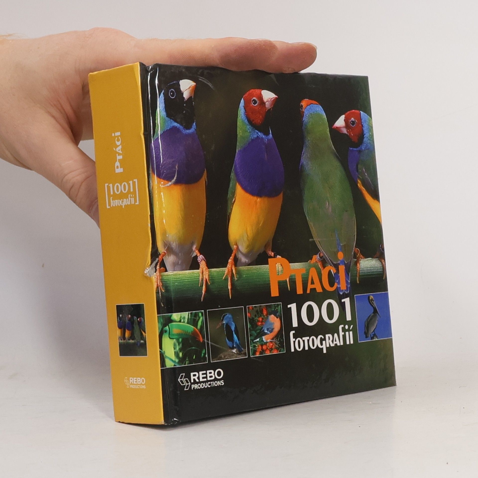 Michel Viard Ptáci. 1001 fotografií