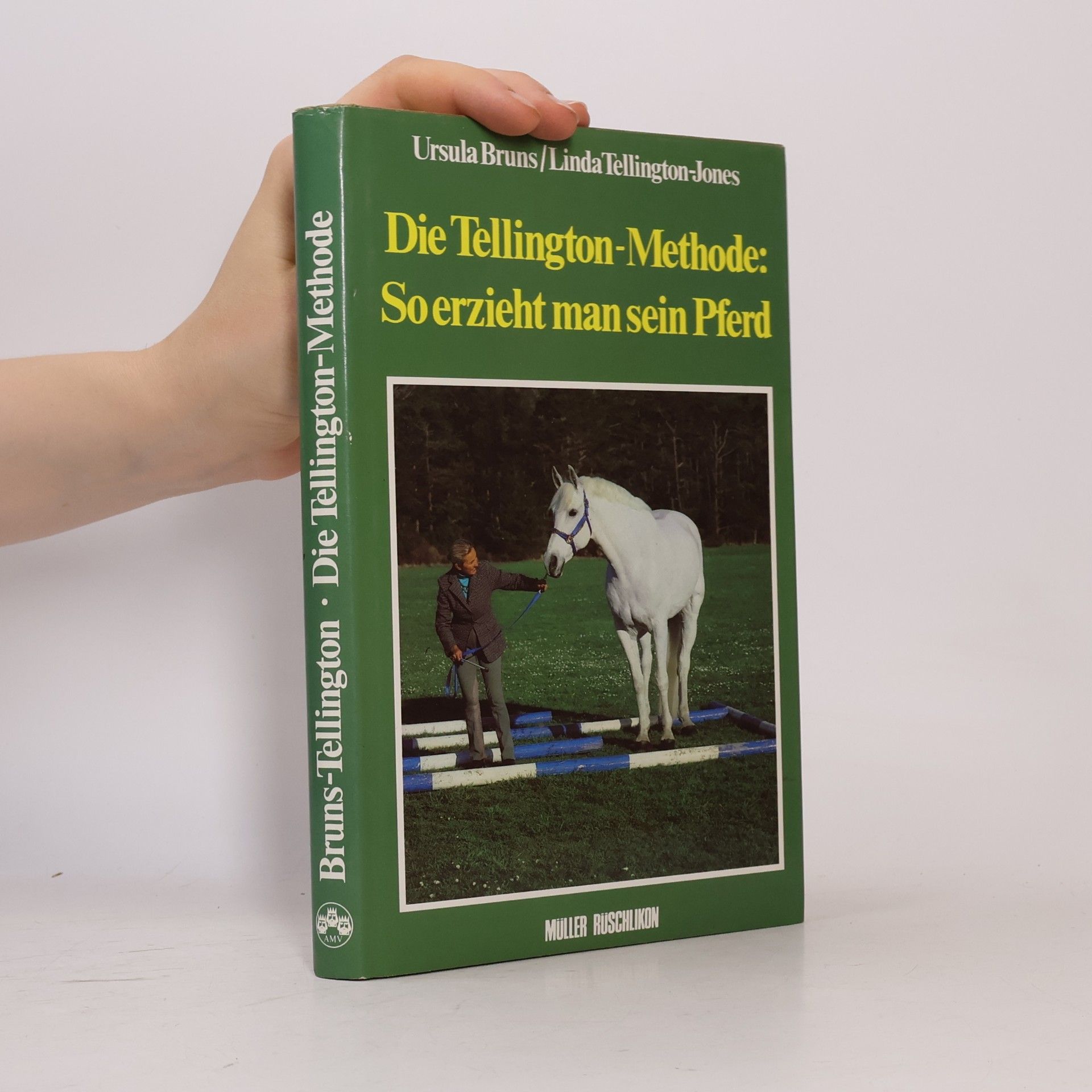 Die Tellington-Methode - so erzieht man sein Pferd