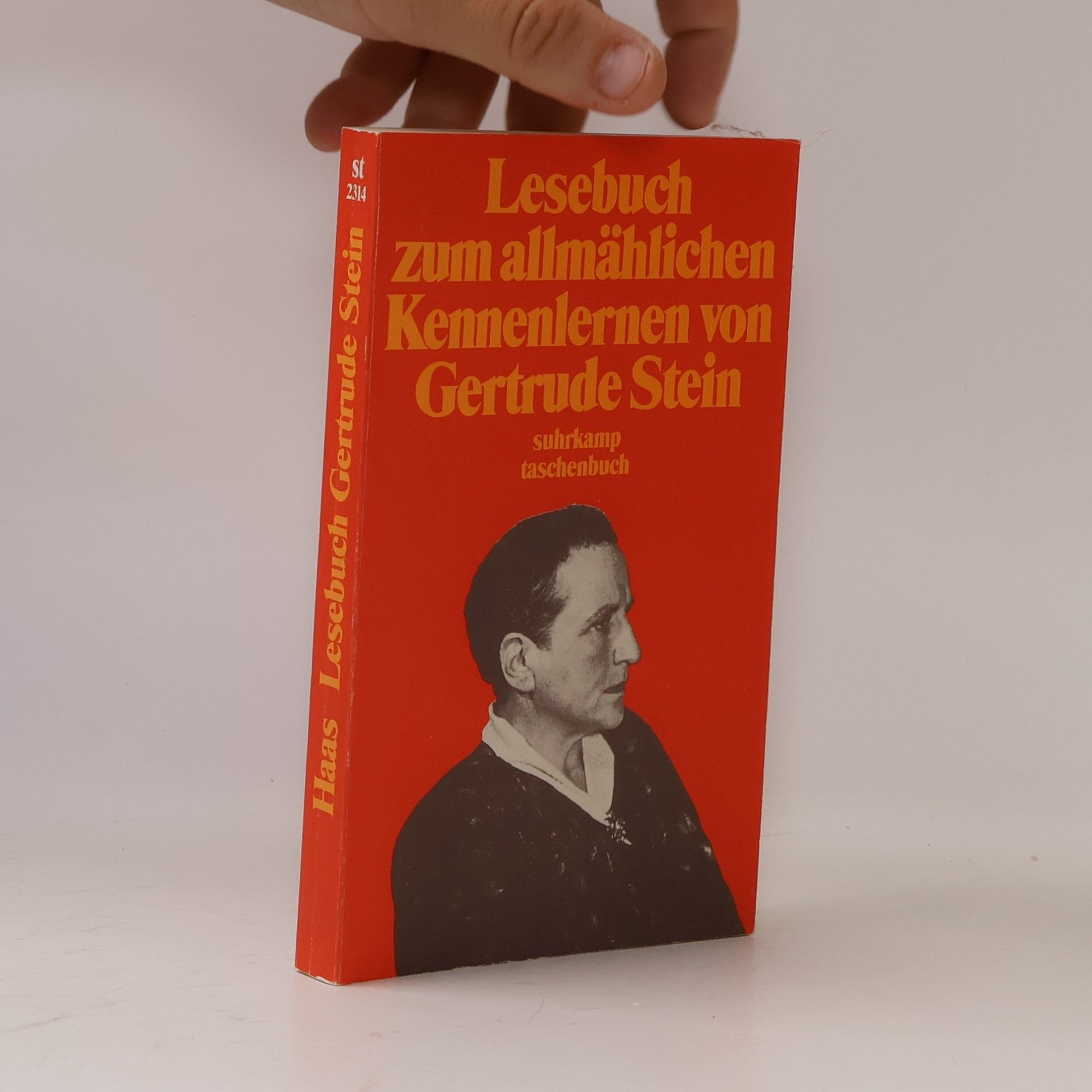 Robert Bartlett Haas Lesebuch zum allmählichen Kennenlernen von Gertrude Stein