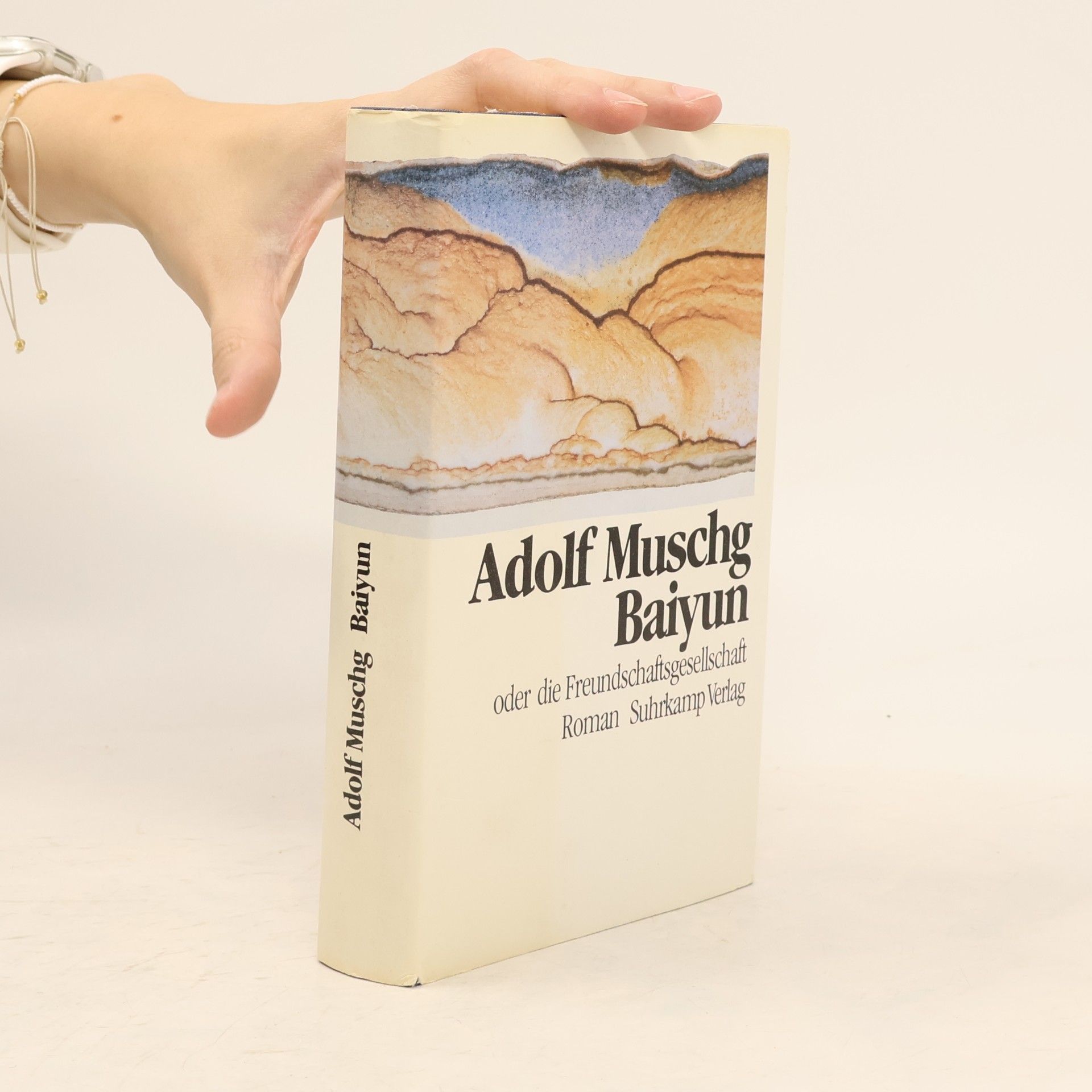 Adolf Muschg Baiyun oder die Freundschaftsgesellschaft