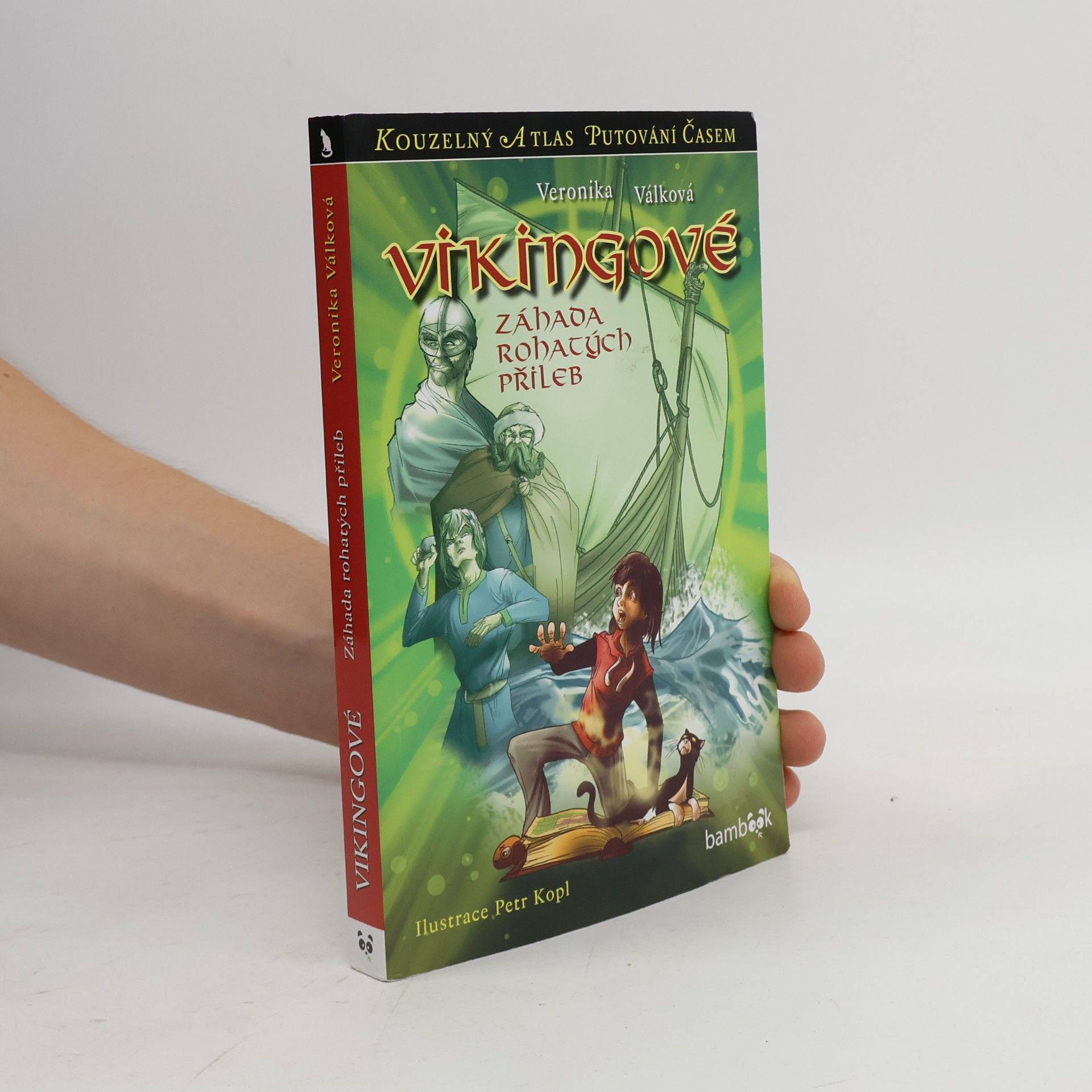 Veronika Válková Vikingové : záhada rohatých přileb