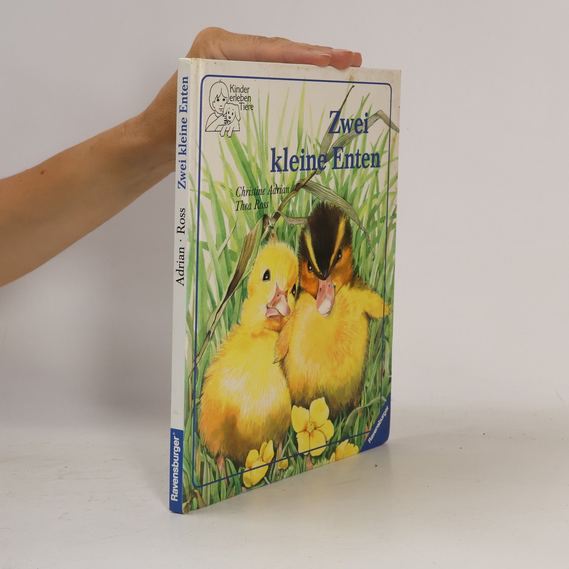 Zwei kleine Enten