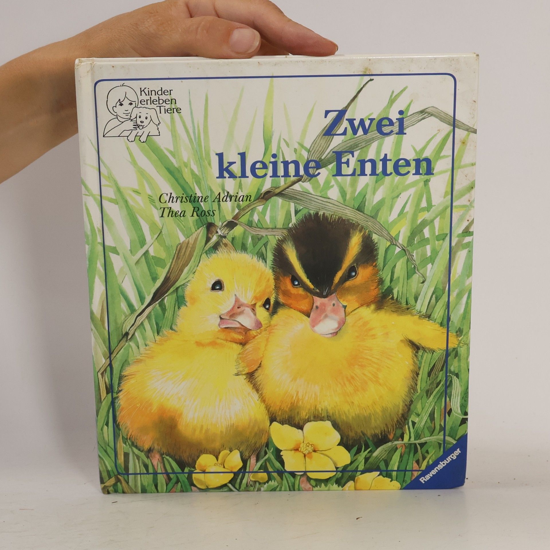 Christine Adrian Zwei kleine Enten