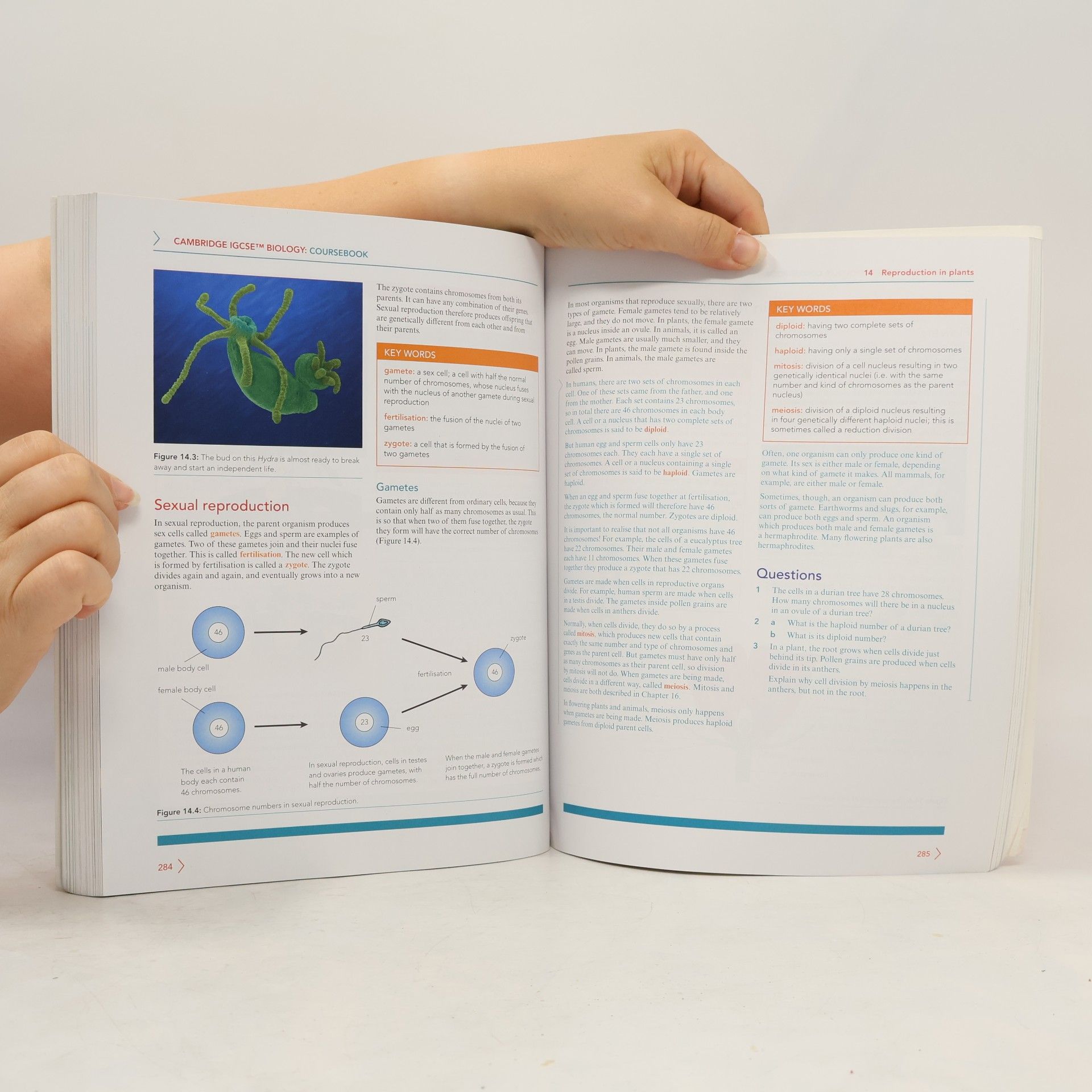 Mary Jones Cambridge IGCSE™ Biology Coursebook with Digital Access (2 Years) - Fourth Edition