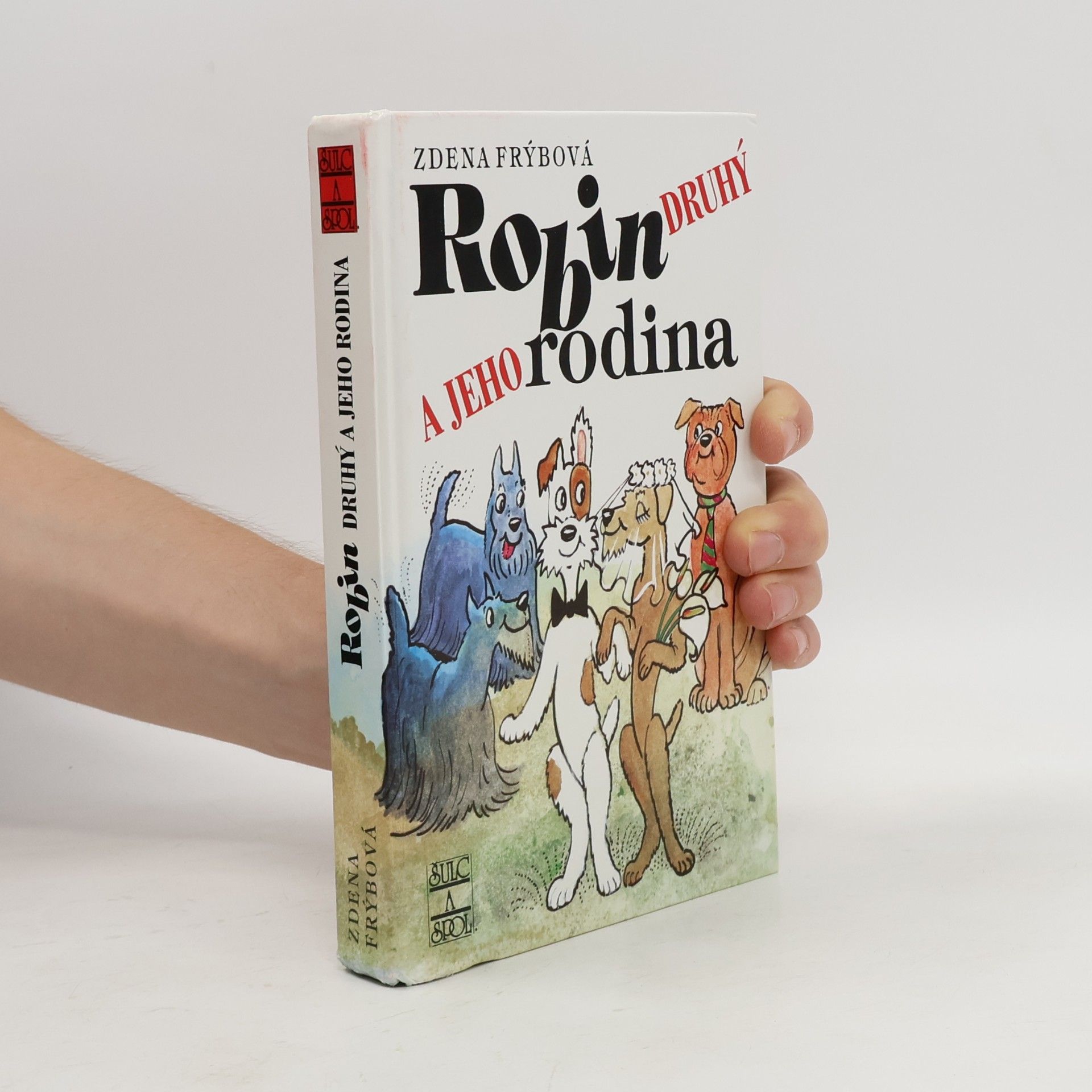 Robin Druhý a jeho rodina