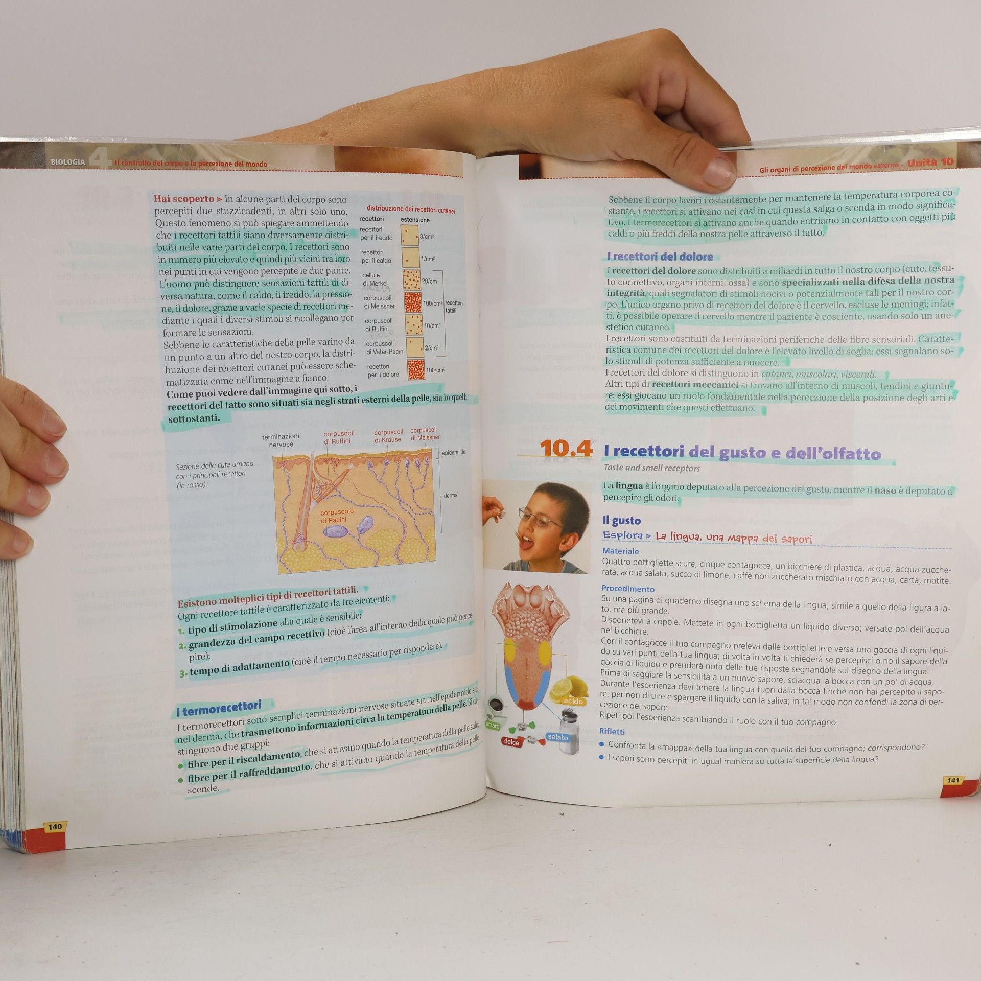 Vanna Serani Es elaborare scienza