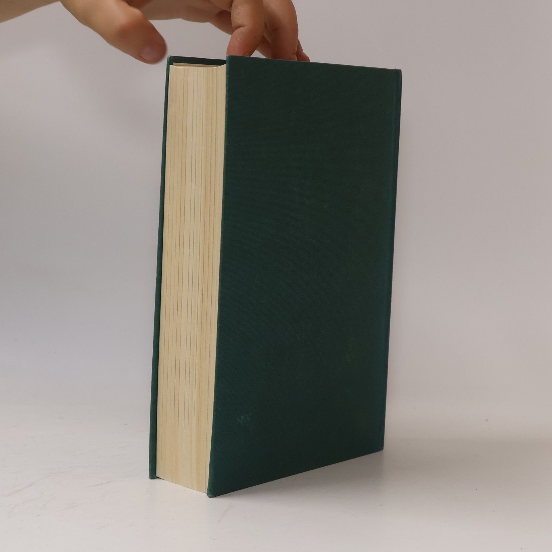 AA.VV. Das Neue Testament