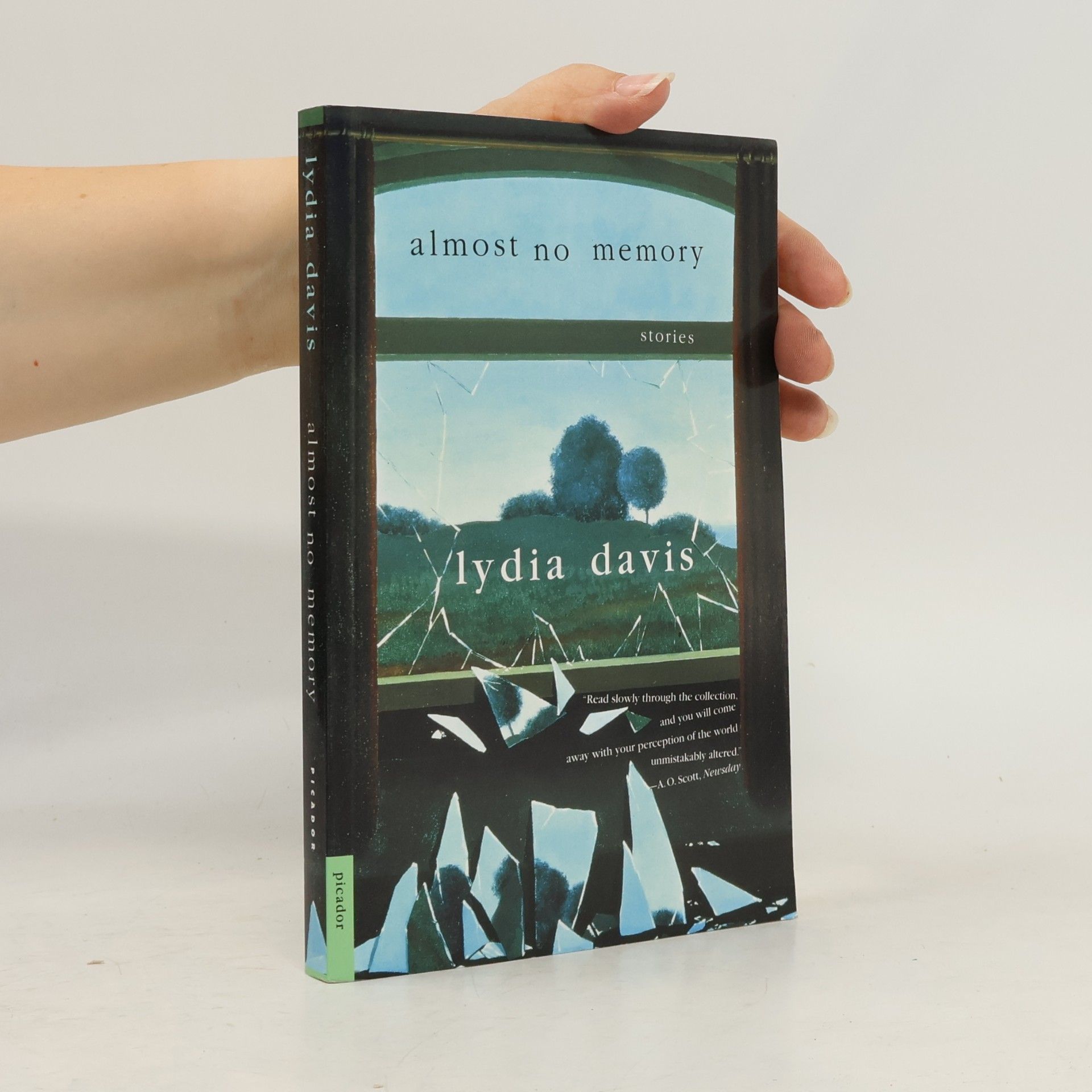 Lydia Davis Almost No Memory