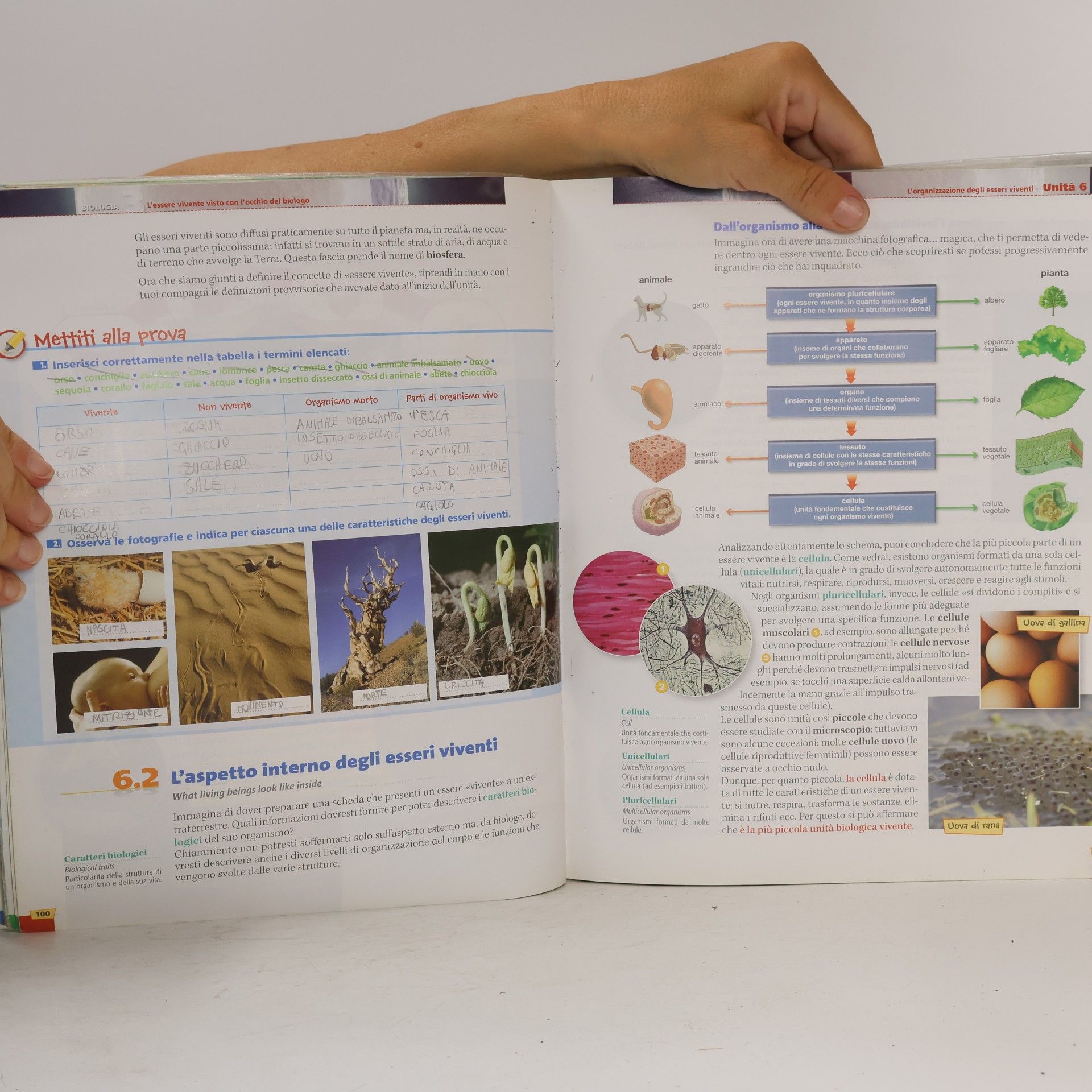 Vanna Serani Es elaborare scienza - 1: Con espansione online. Per la Scuola media