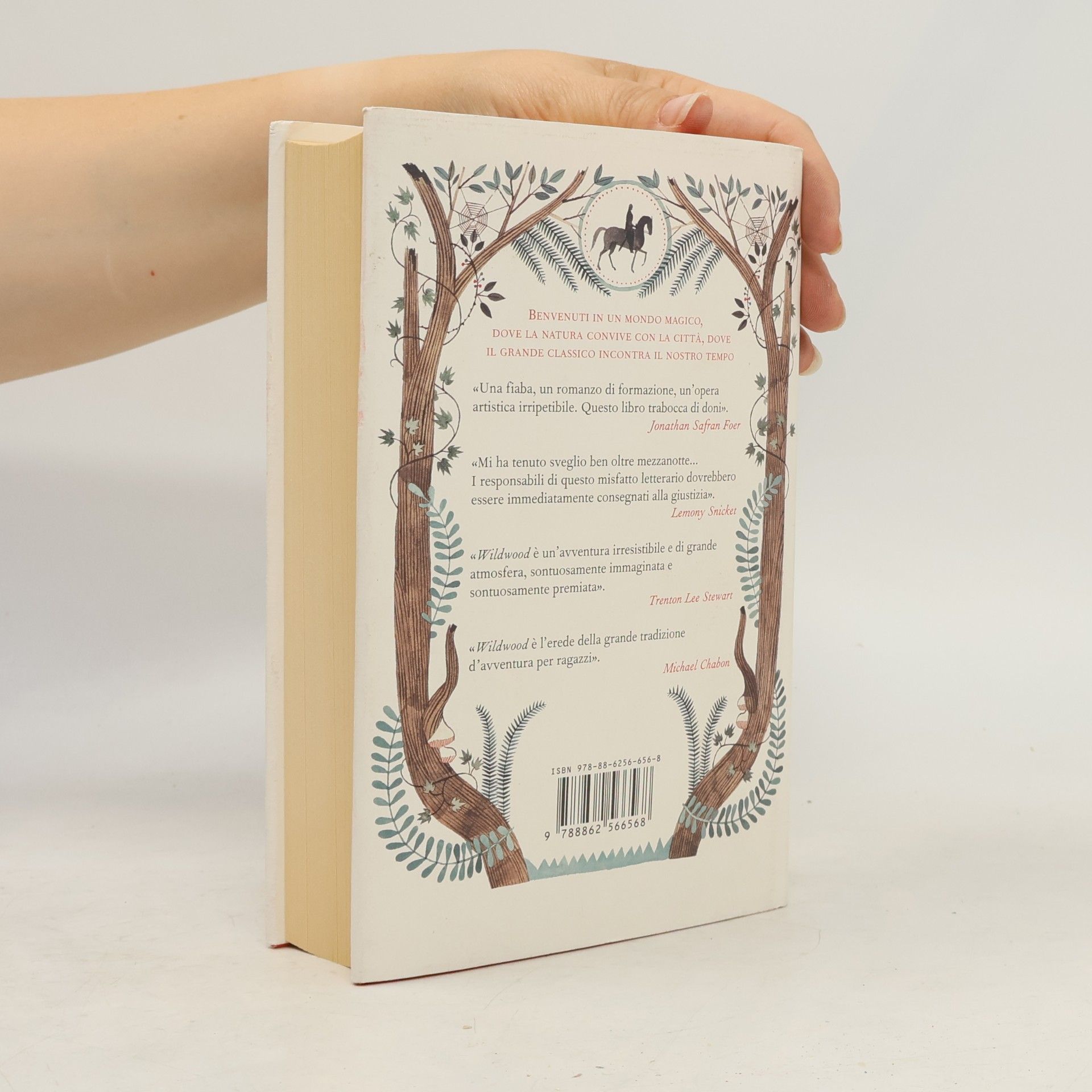 Colin Meloy Wildwood. I segreti del bosco proibito