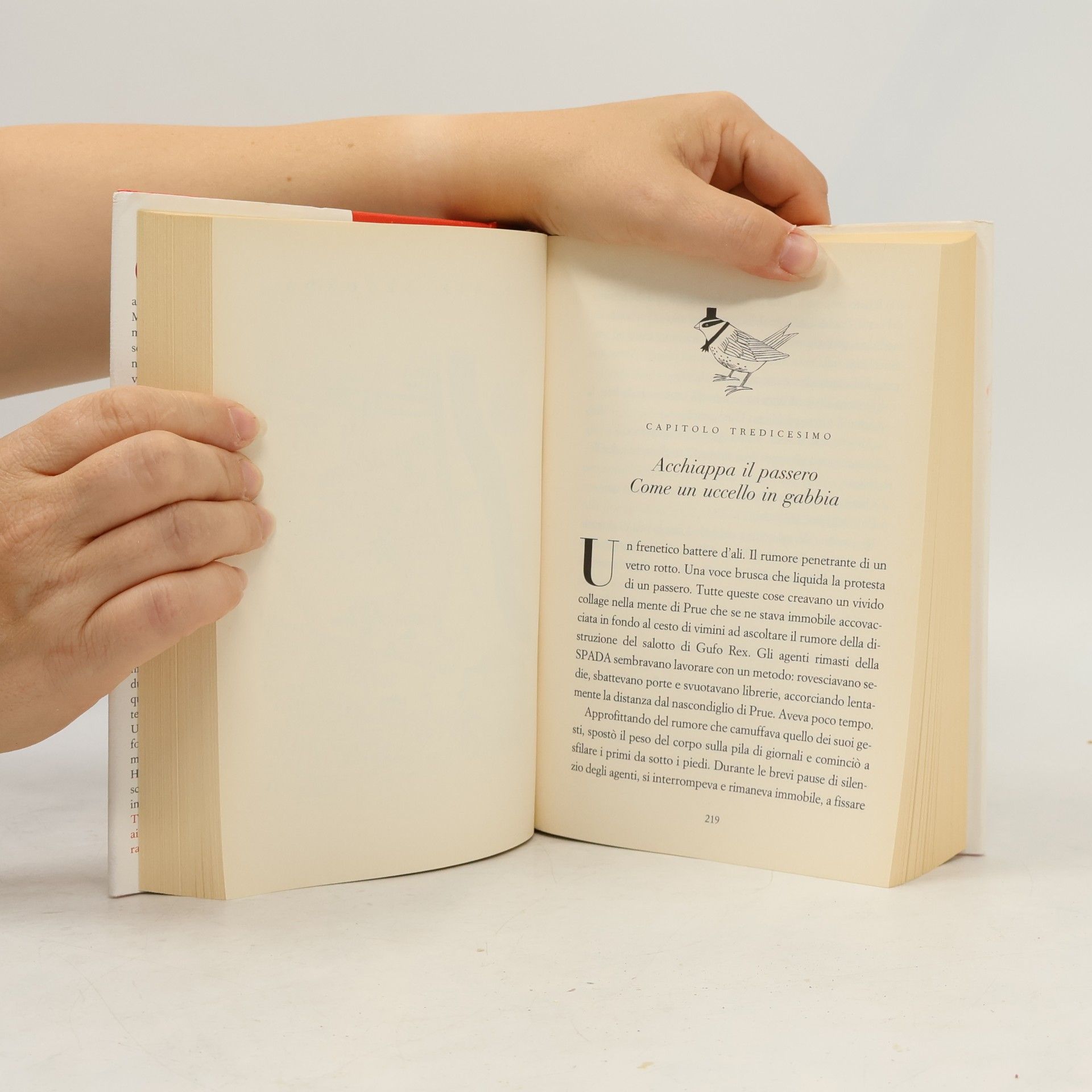 Colin Meloy Wildwood. I segreti del bosco proibito