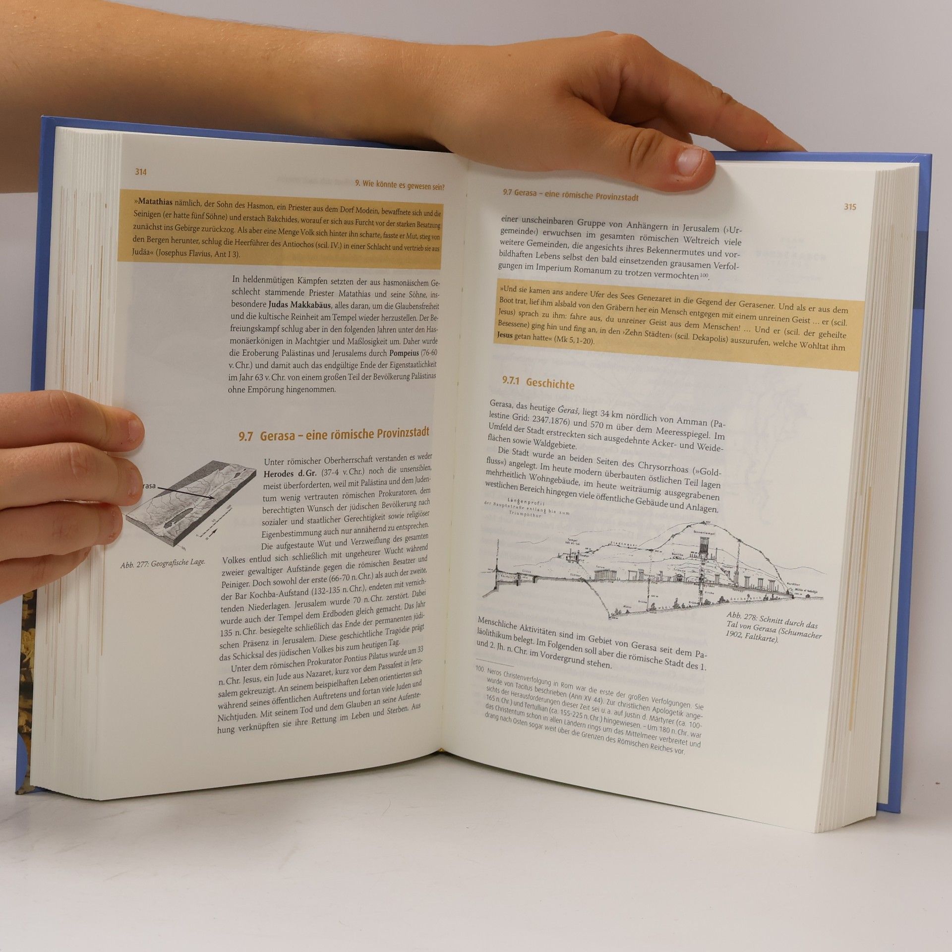 Dieter Vieweger Archäologie der biblischen Welt, m. Foto-DVD