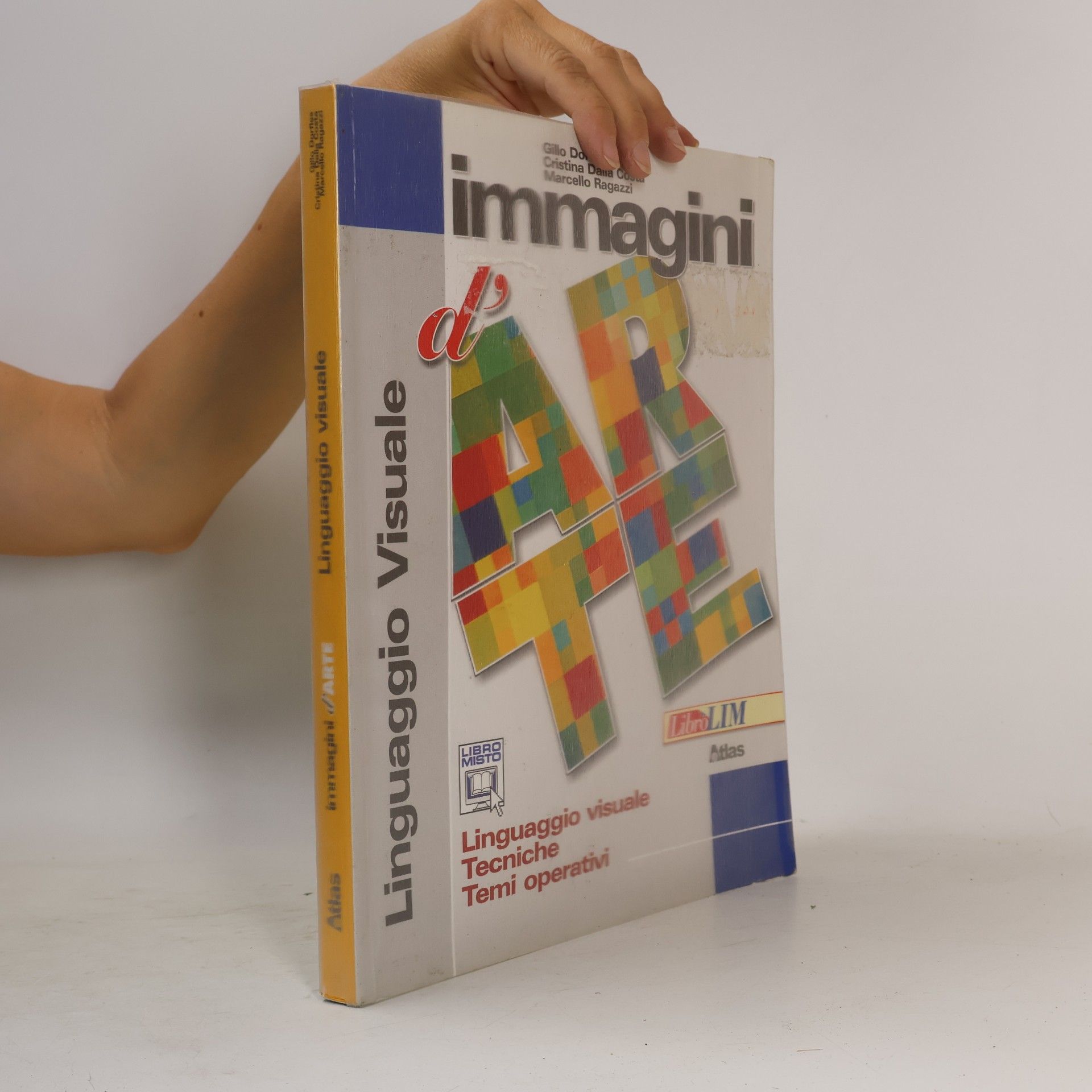 Cristina Dalla Costa Immagini d'arte - 1: Linguaggio visuale