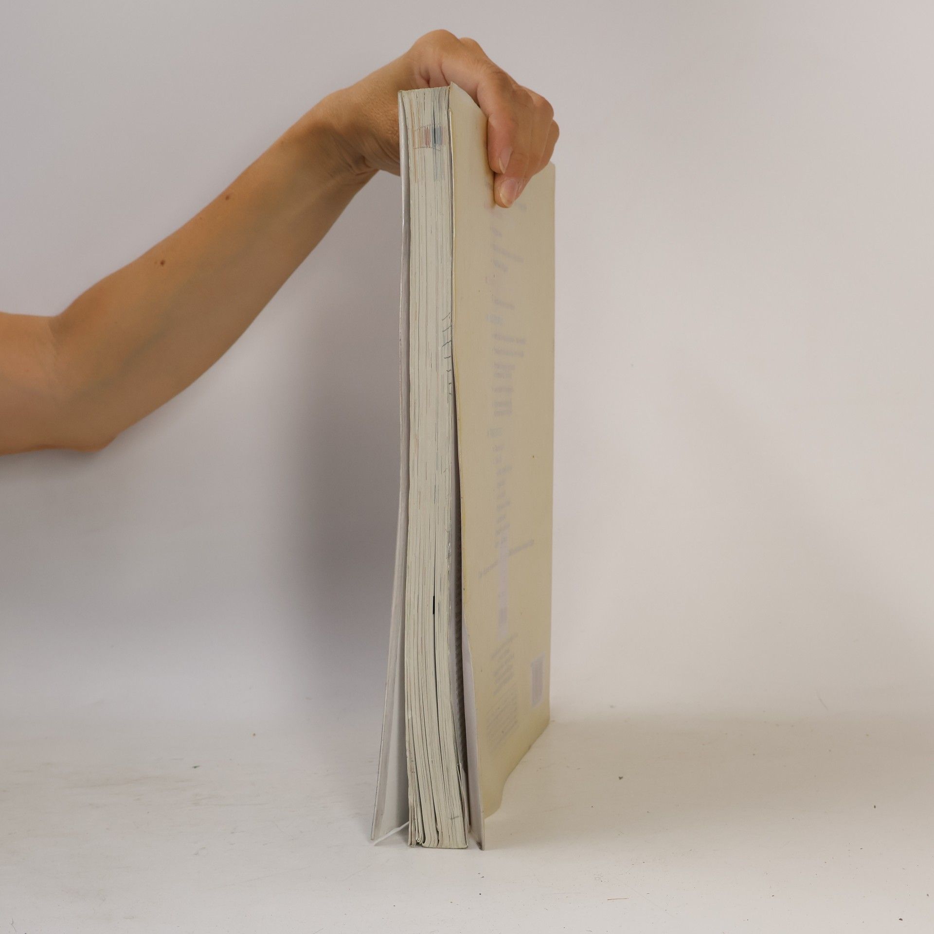 Gillo Dorfles Immagini d'arte - 1: Linguaggio visuale