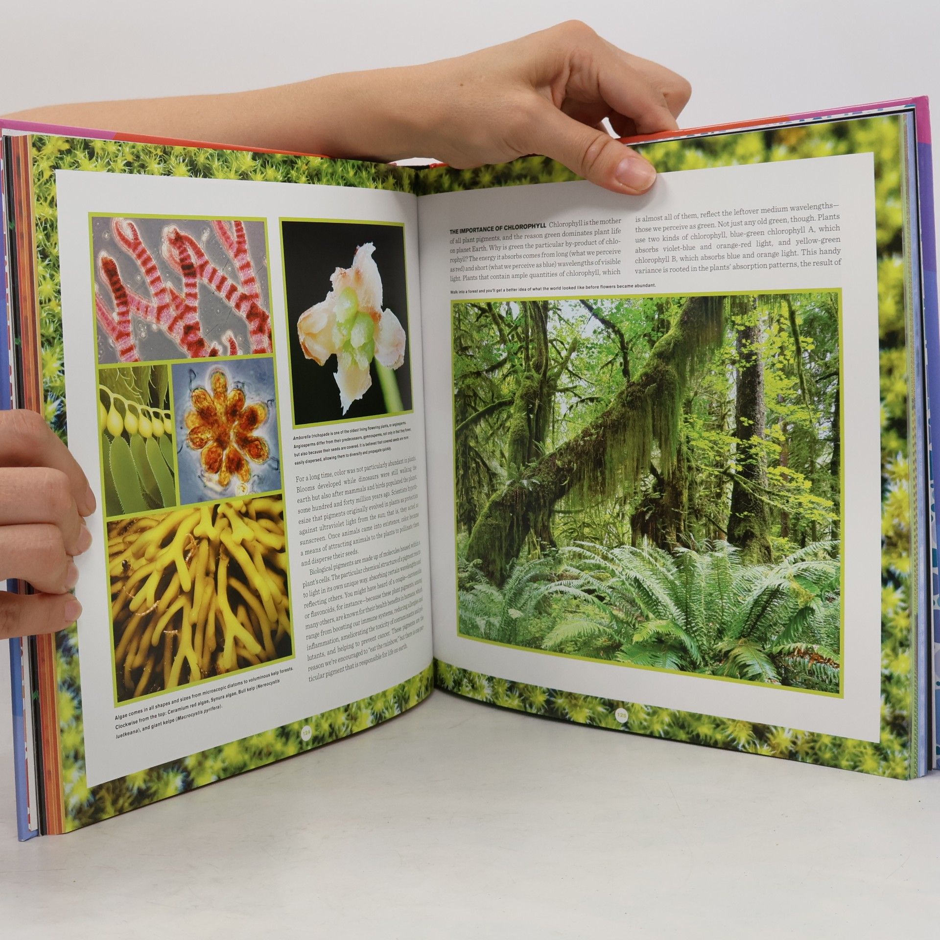 Arielle Eckstut The Secret Language of Color