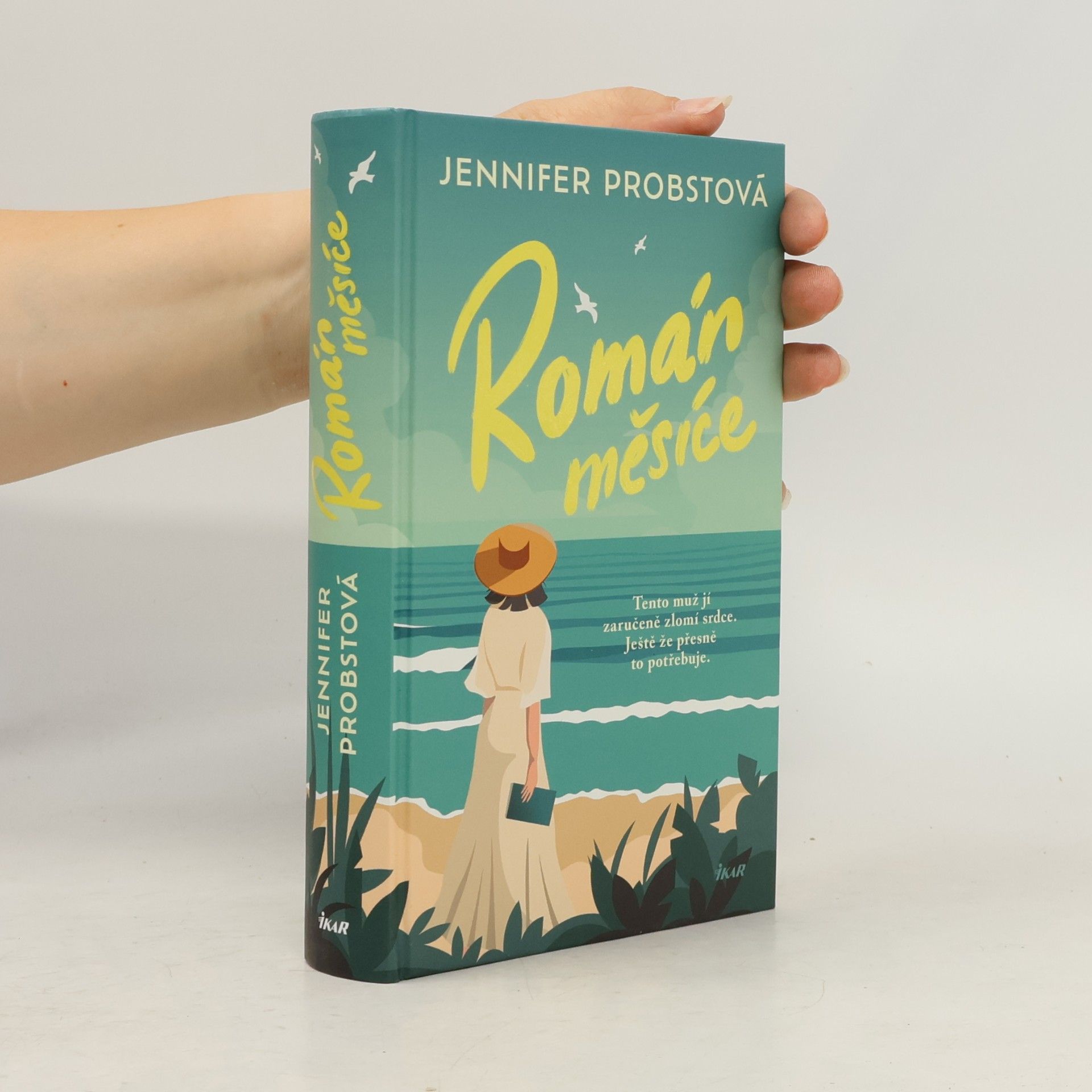 Román měsíce