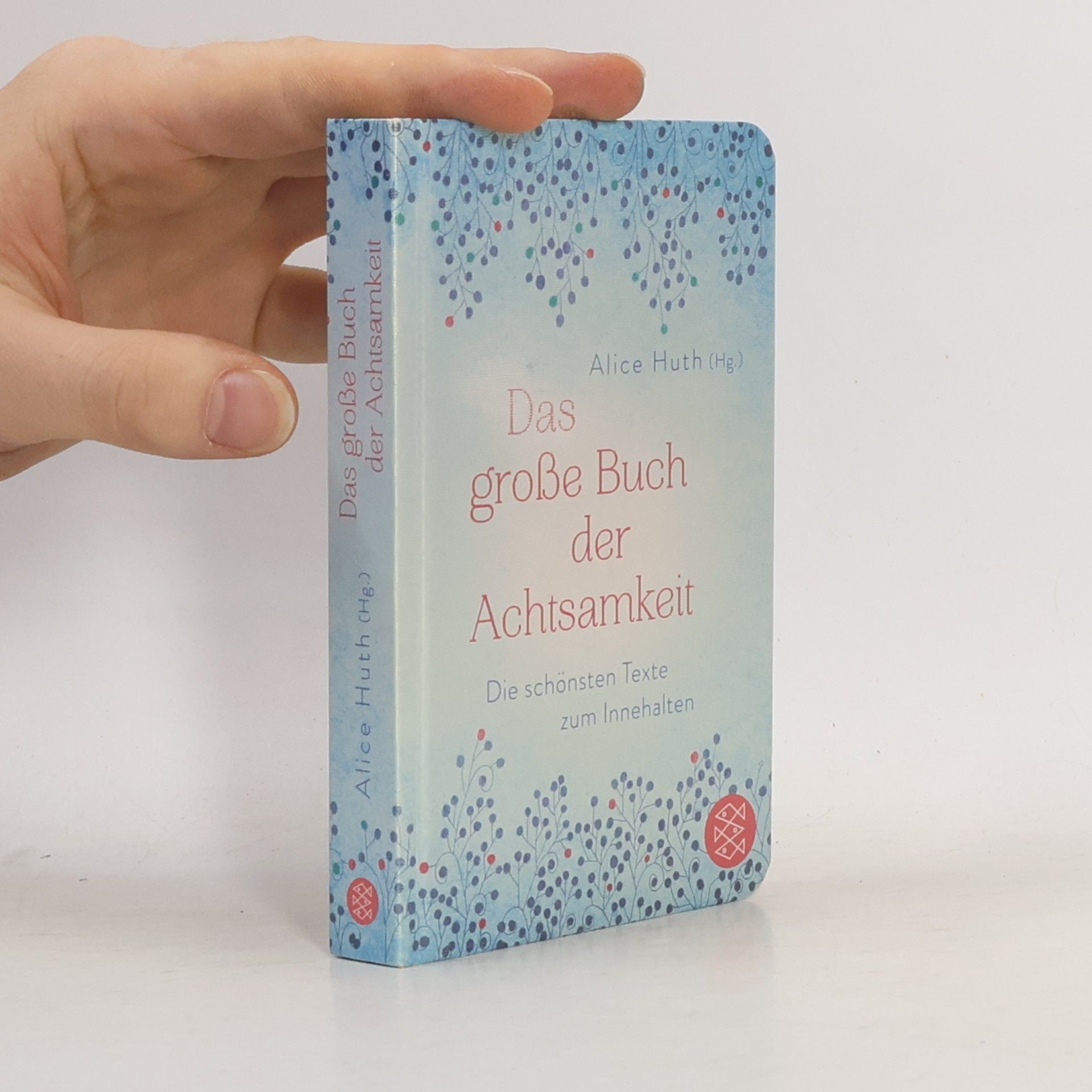 Alice Huth Das große Buch der Achtsamkeit - Die schönsten Texte zum Innehalten