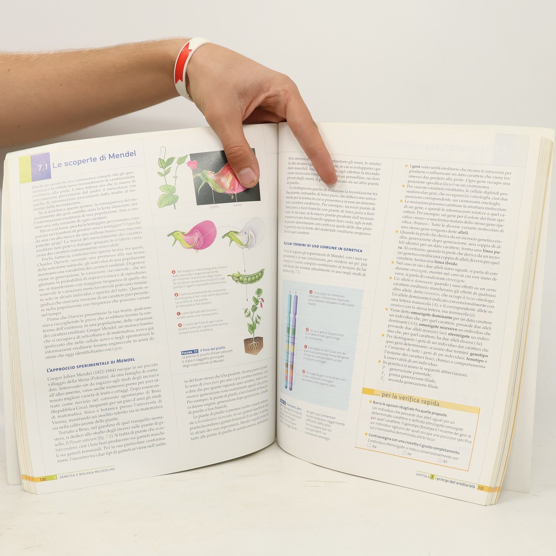 Cecie Starr Biologia