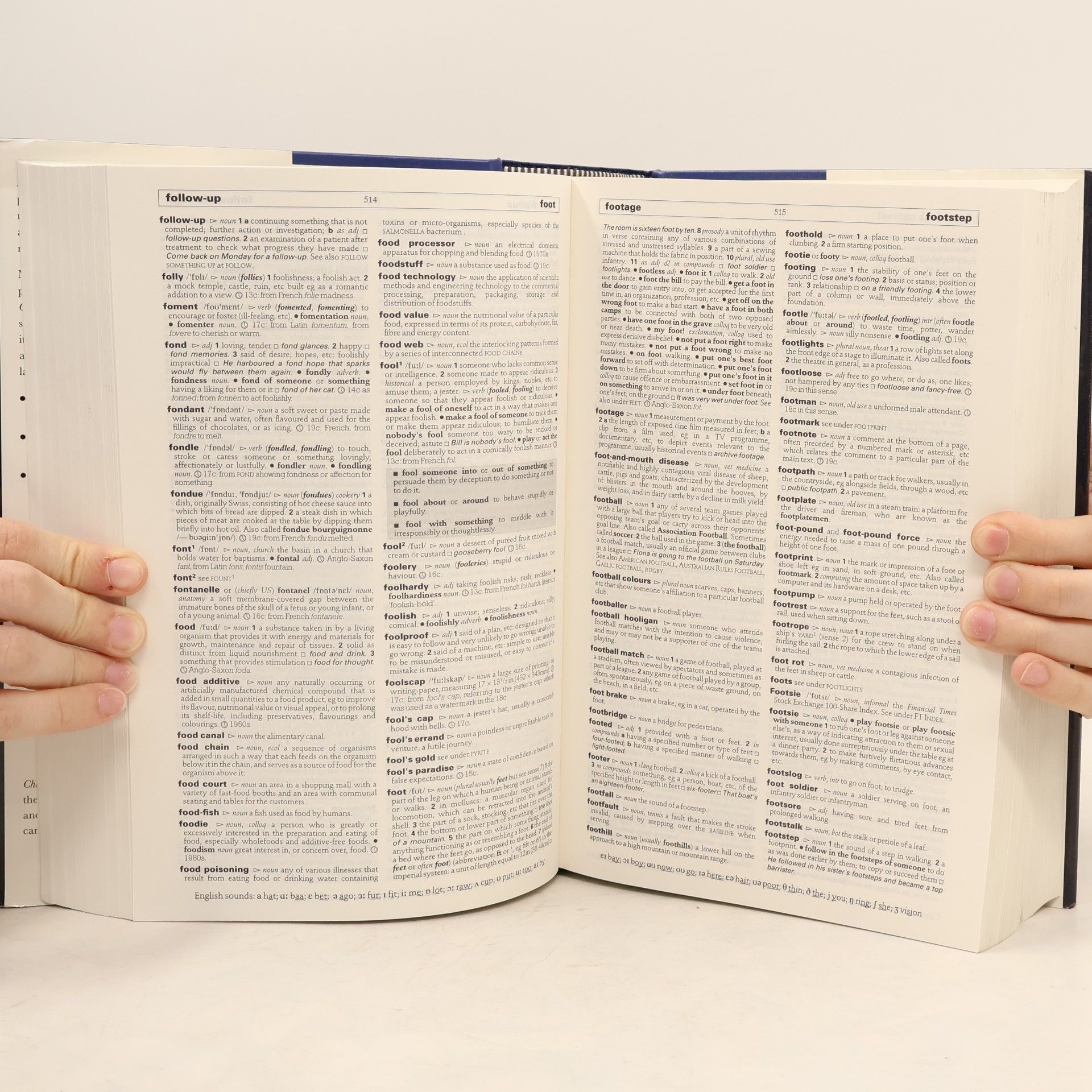 Mairi Robinson Chambers 21st Century Dictionary