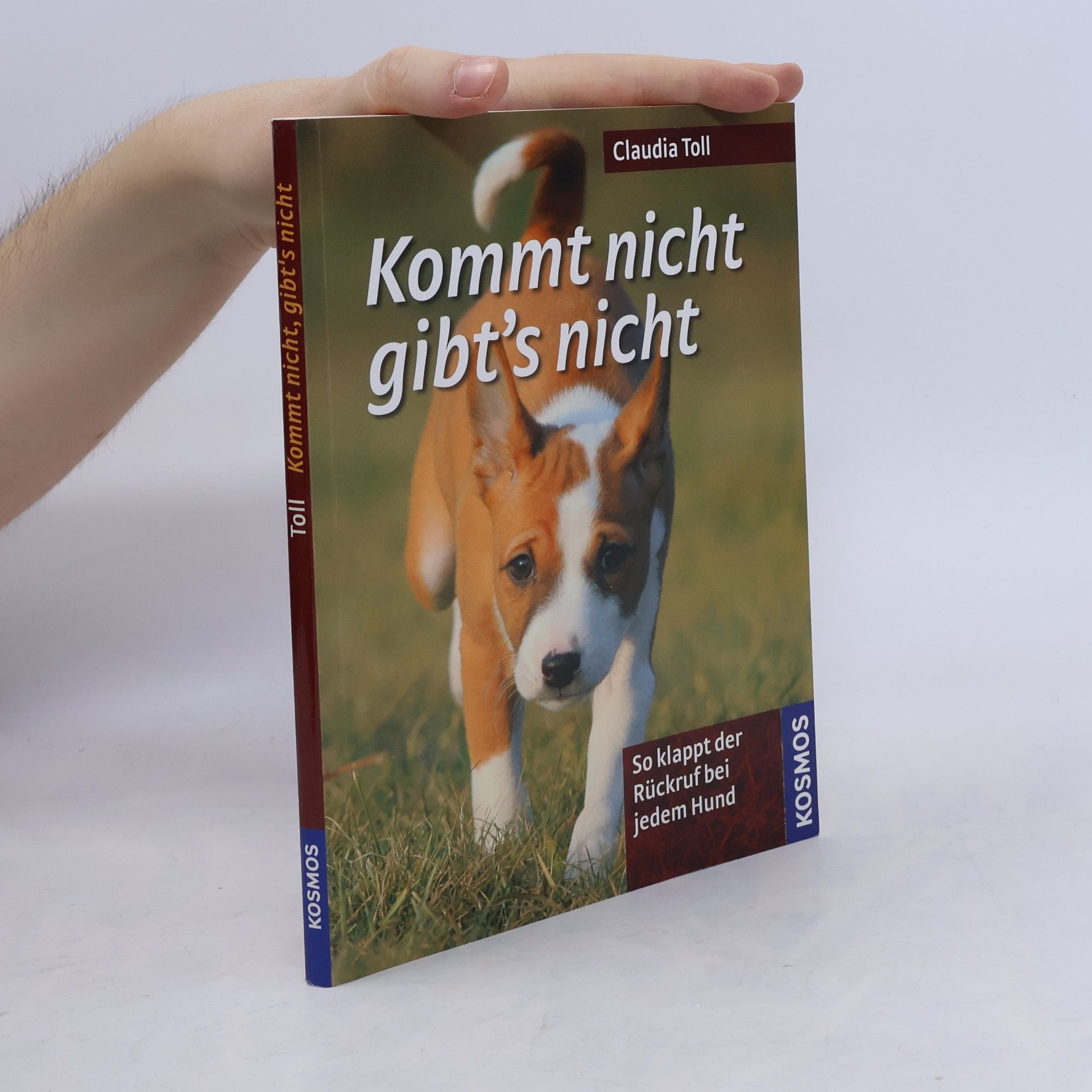 Claudia Toll Kommt nicht, gibt's nicht!