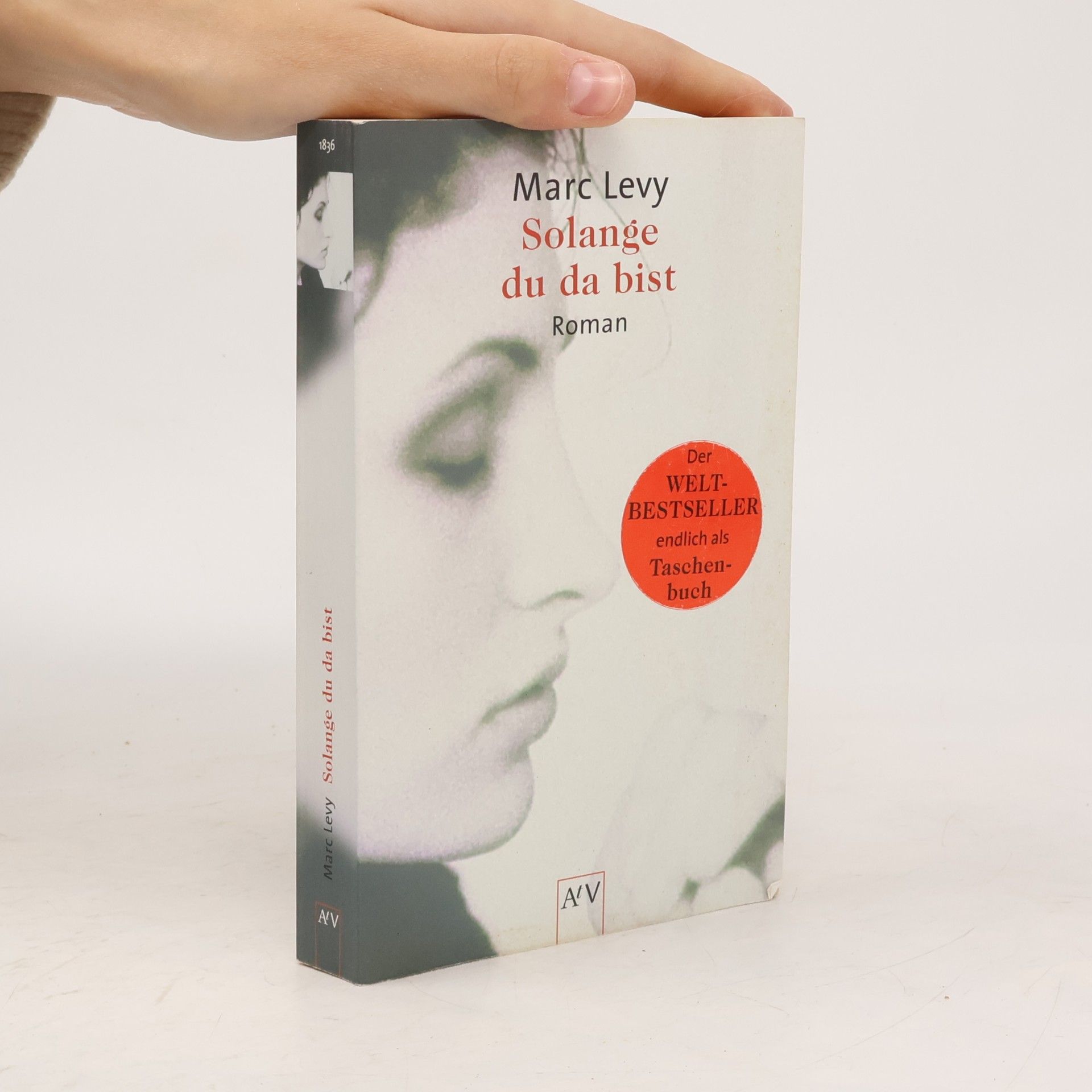 Marc Levy Solange du da bist