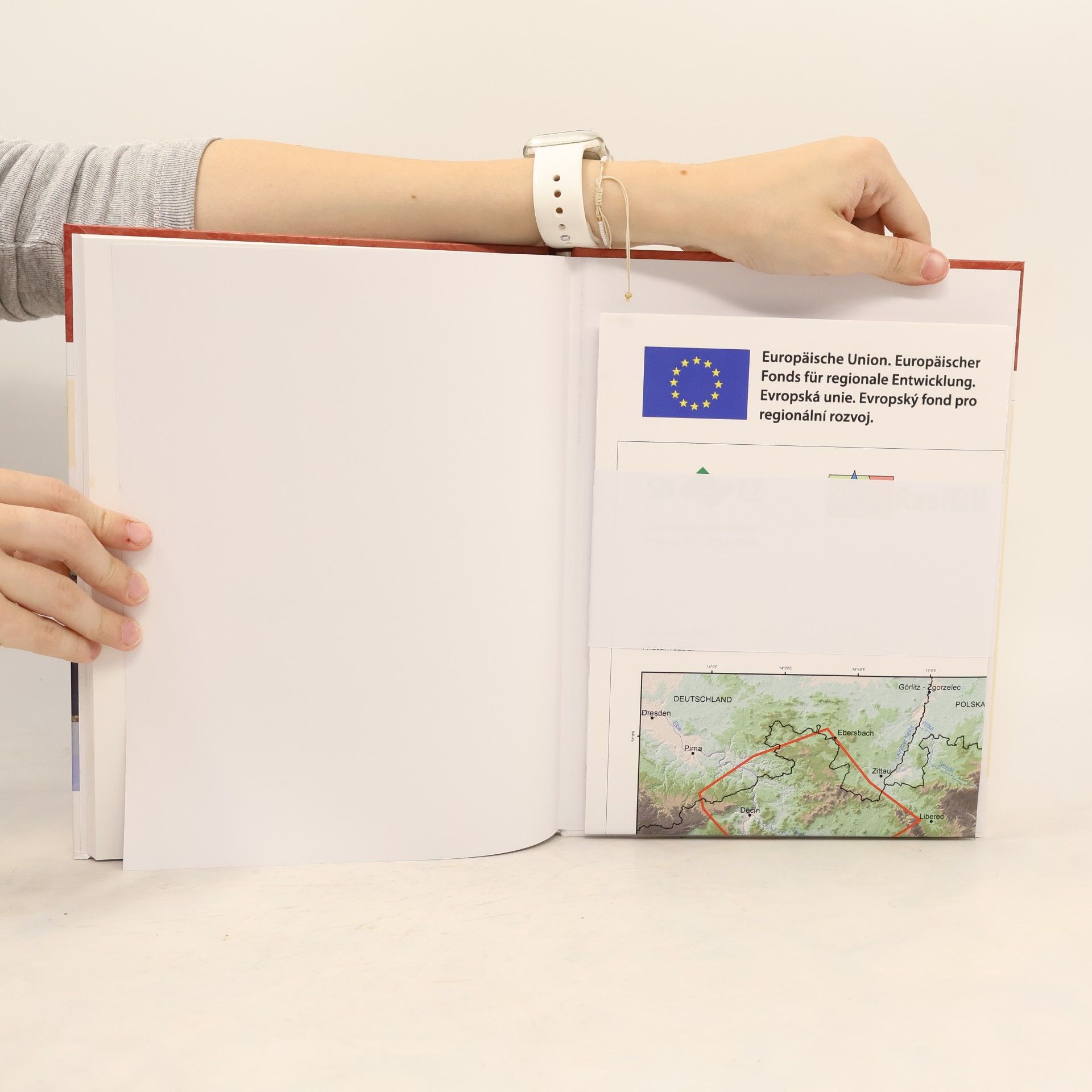 Štěpánka Mrázová Geologie česko-saské křídové pánve mezi Krušnými horami a Ještědem