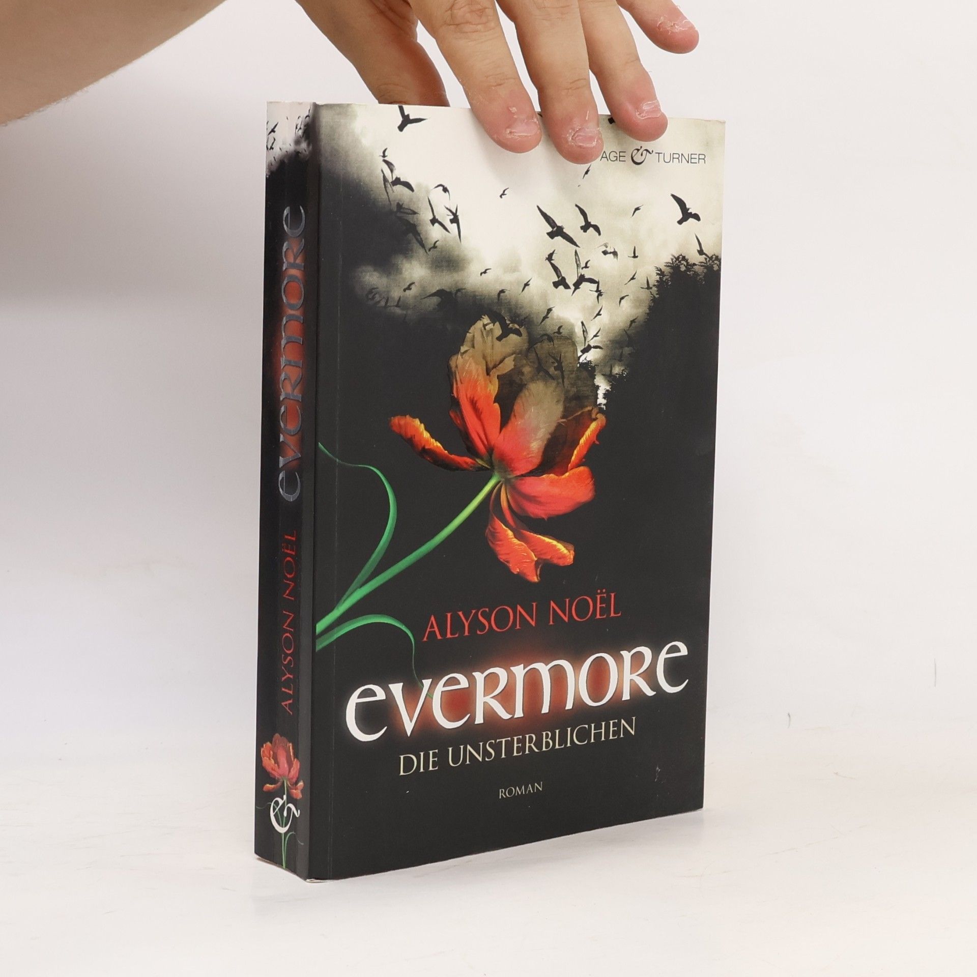 Alyson Noë͏l Evermore 1