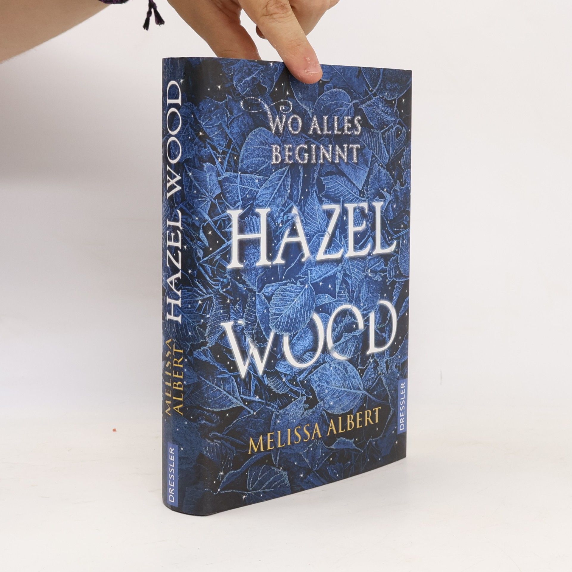 Melissa Albert Hazel Wood: Wo alles beginnt