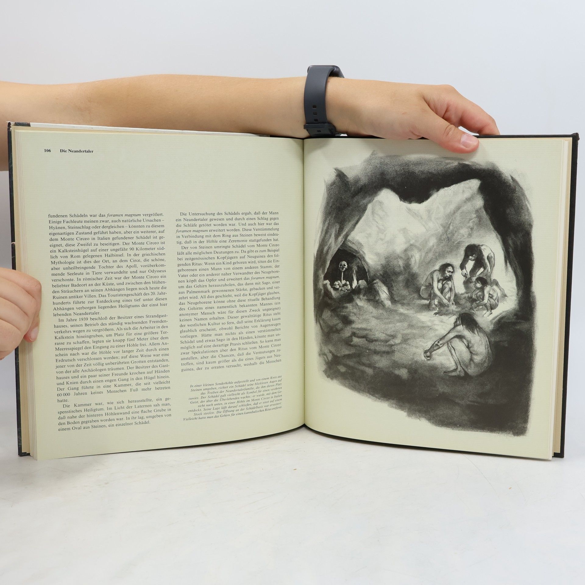 Collectif d'auteurs Die Neandertaler