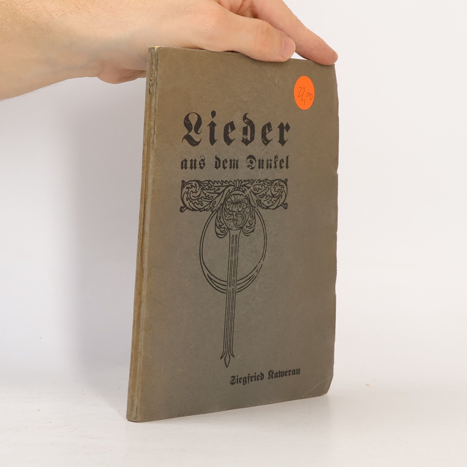 Lieder aus dem Dunkel
