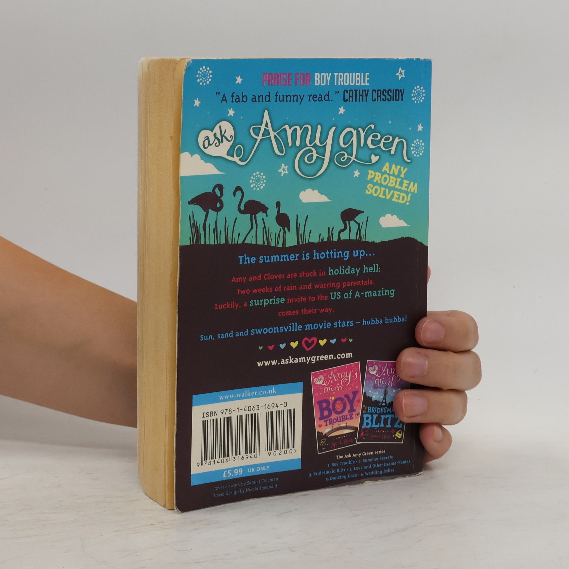 Sarah Webb Ask Amy Green: Summer Secrets