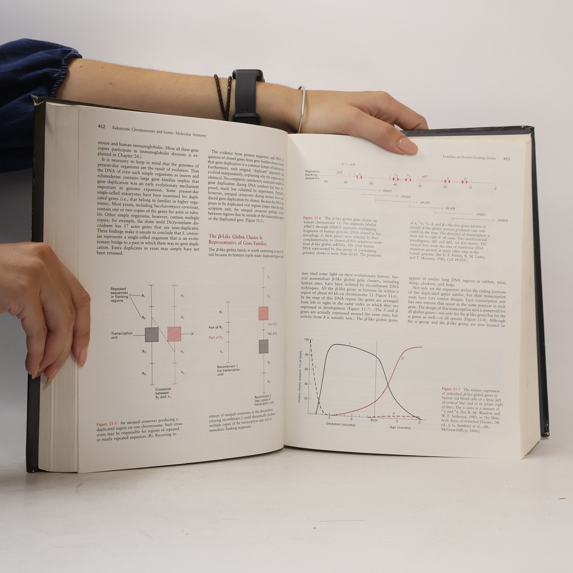 David Baltimore Molecular cell biology