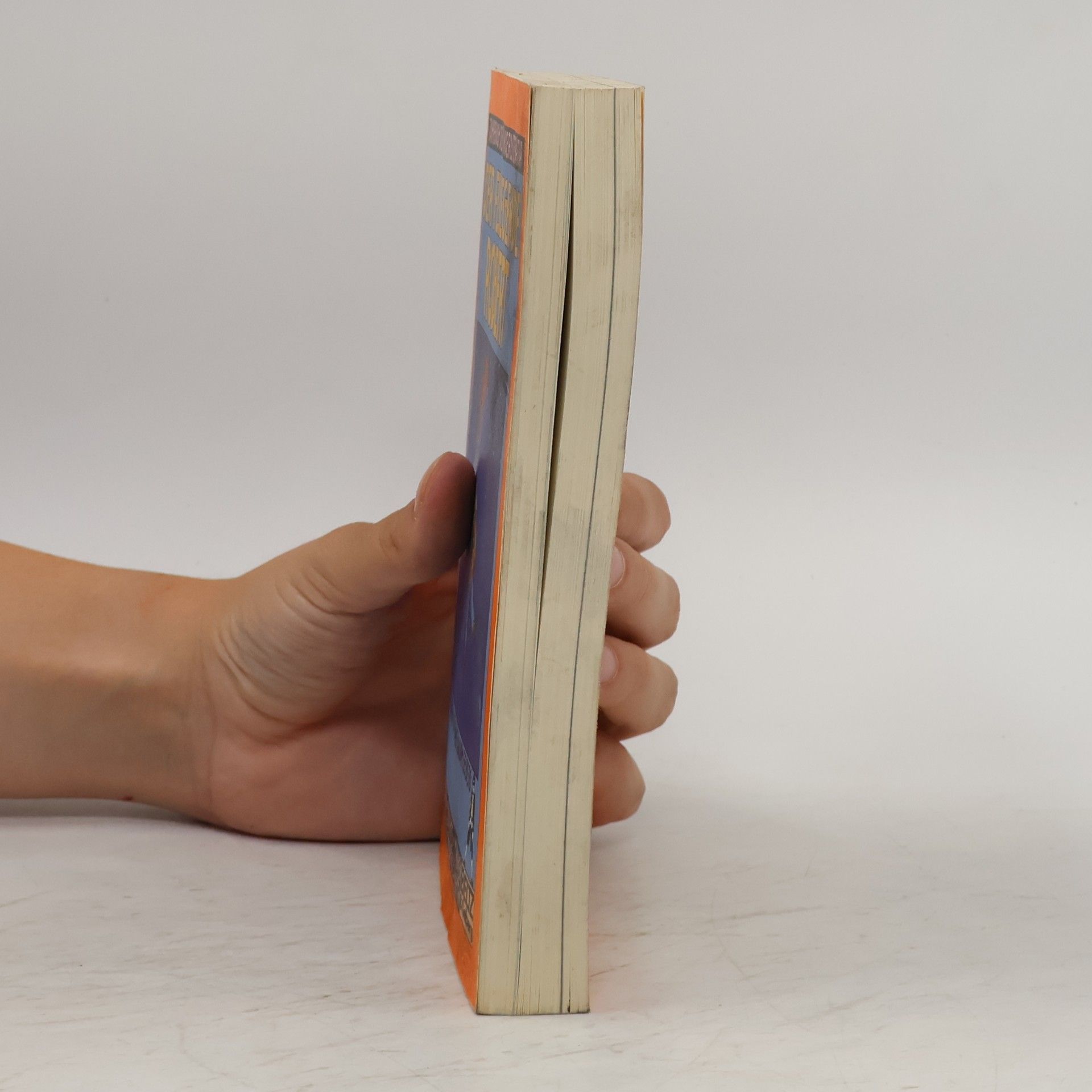 Hans-Joachim Gelberg Der fliegende Robert