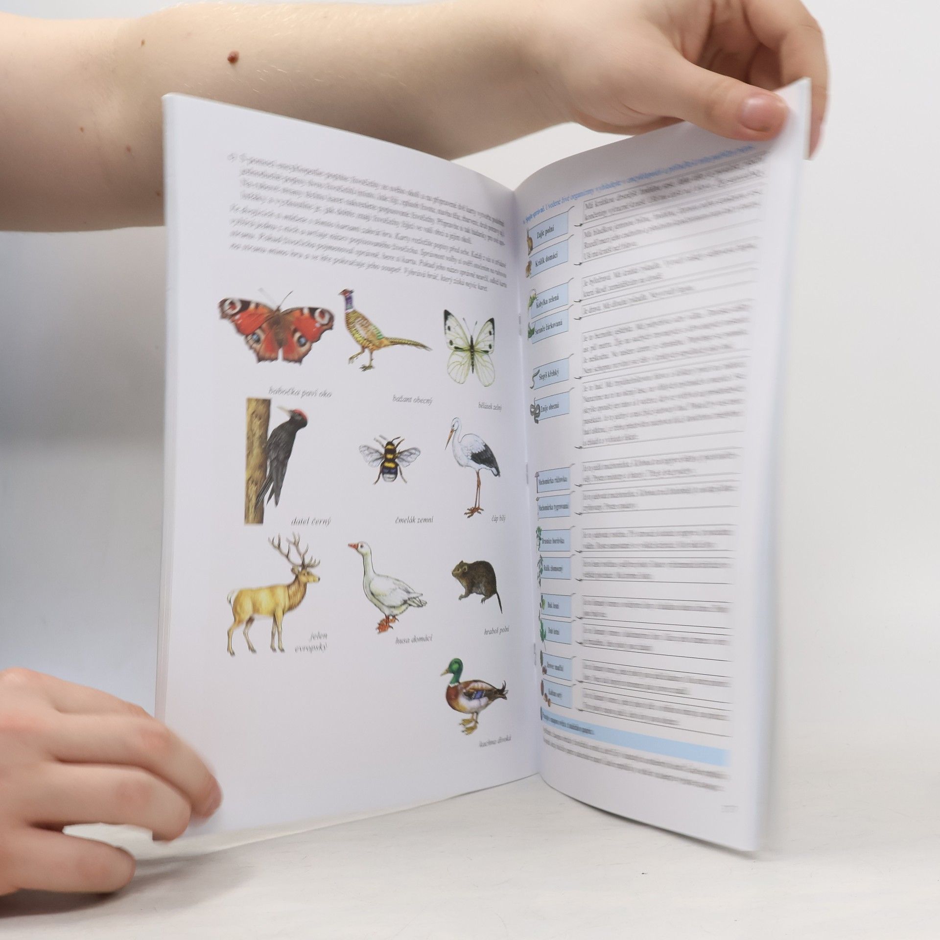 Various authors Člověk a jeho svět - Přírodověda 5 (barevný pracovní sešit)