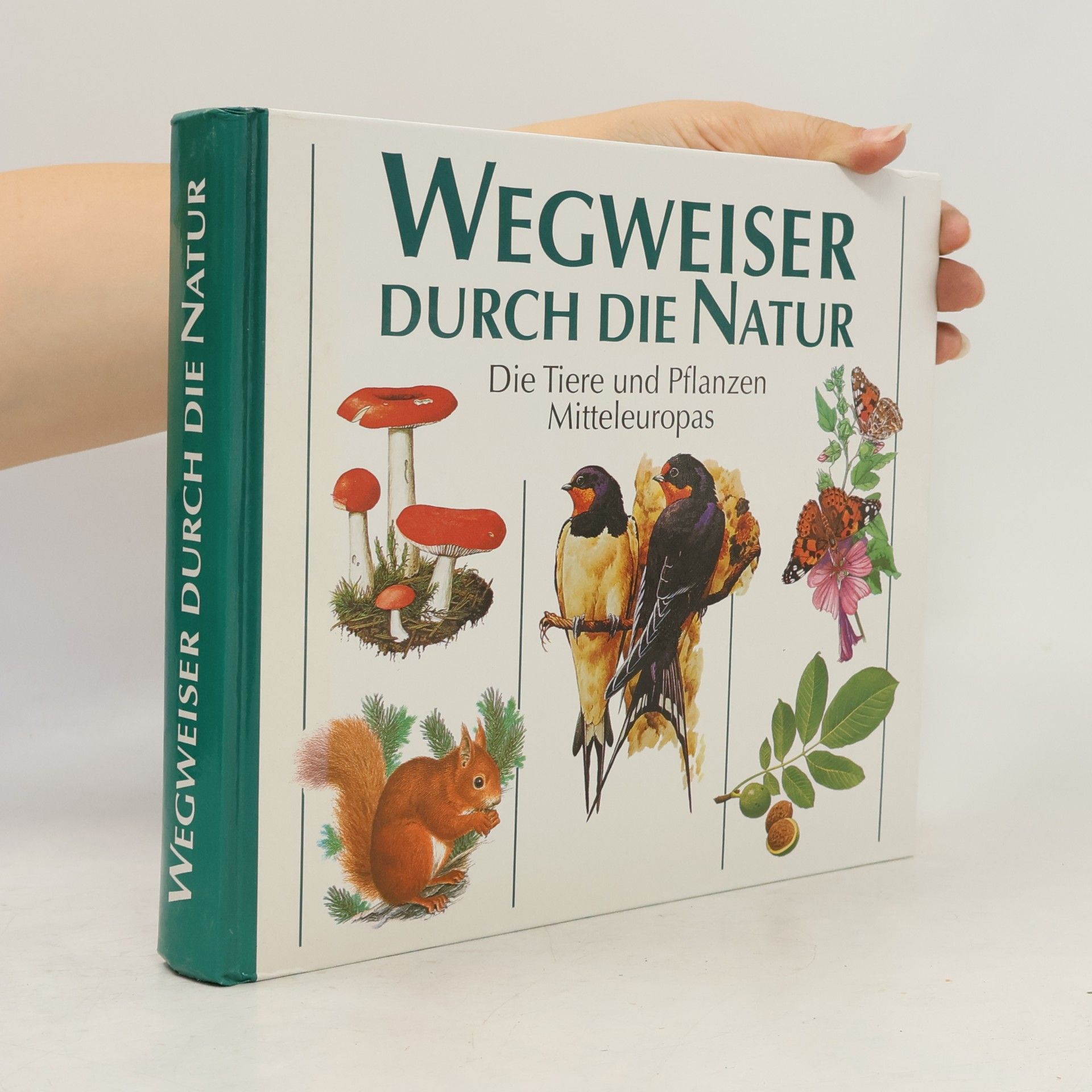 Autorenkollektiv Wegweiser durch die Natur. Die Tiere und Pflanzen Mitteleuropas