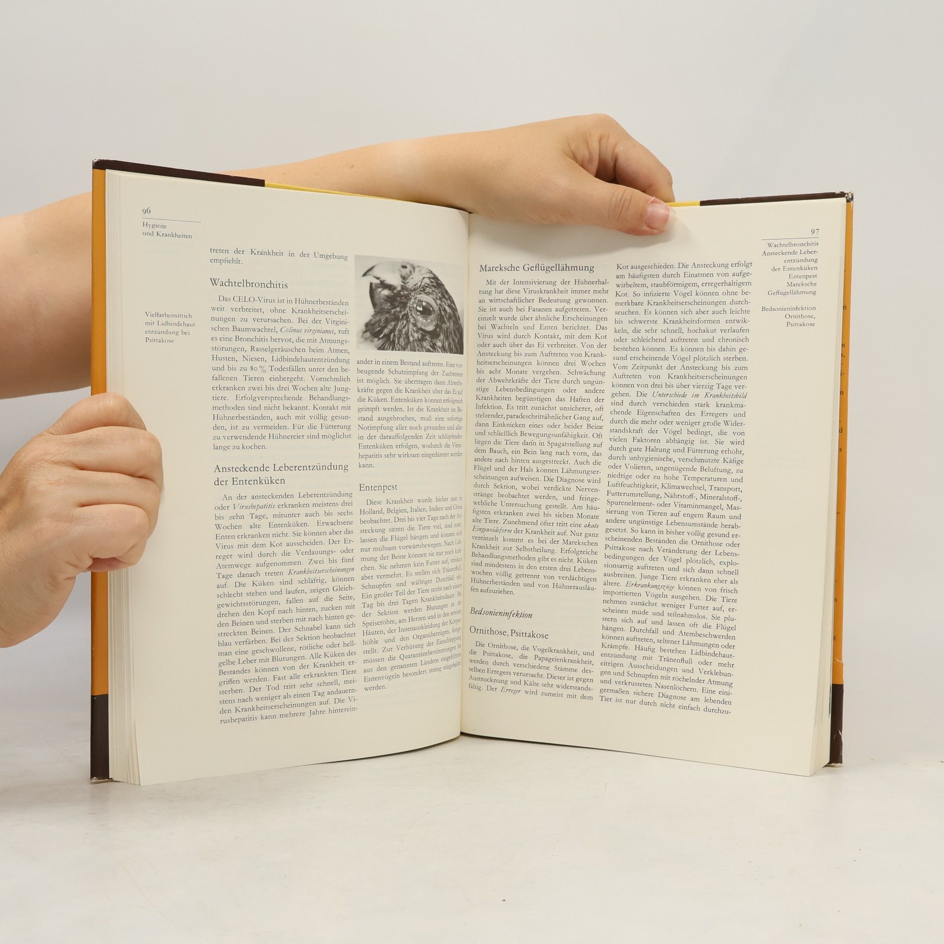 Heinrich Dathe Handbuch des Vogelliebhabers 1