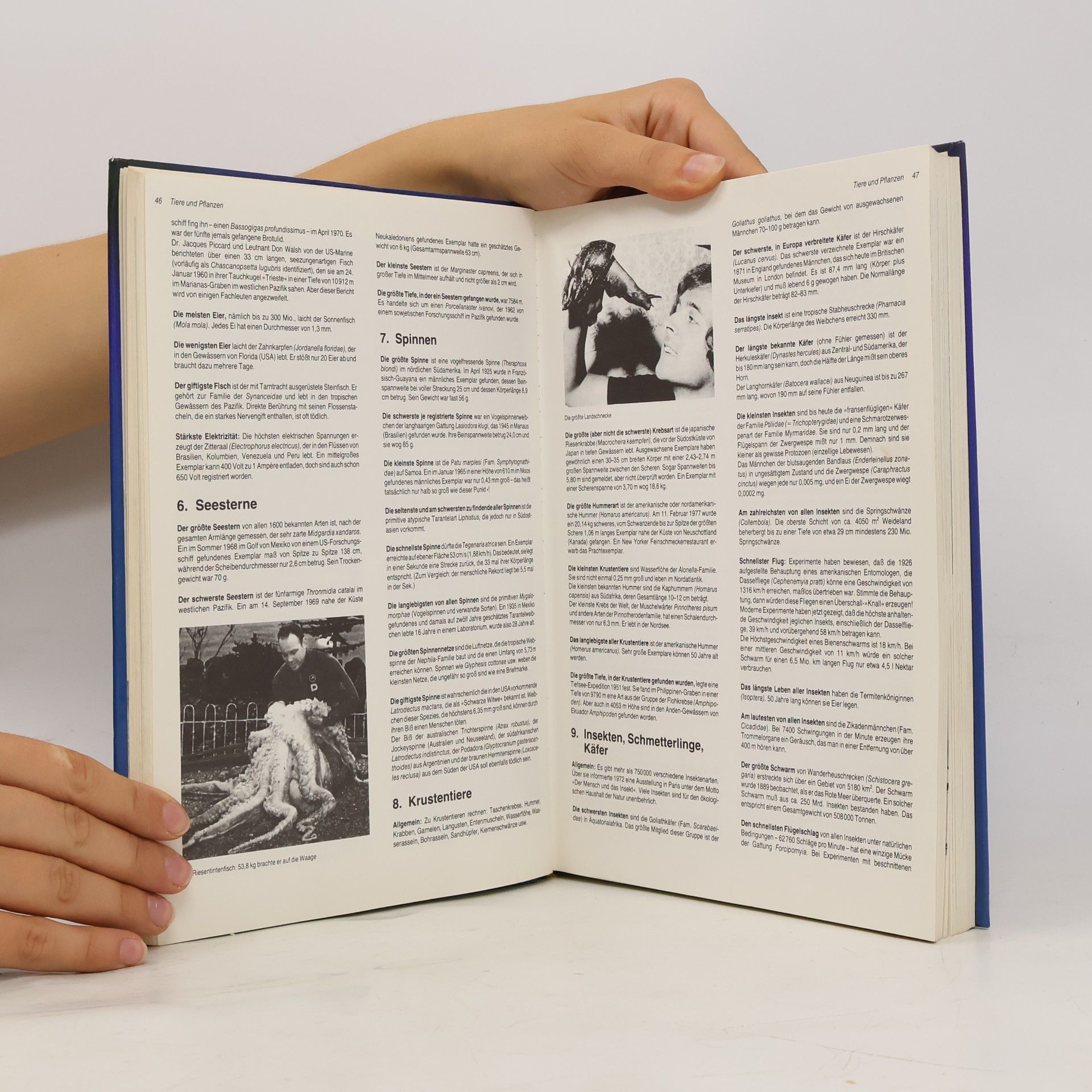 Autores varios Guinness Buch der Rekorde 1982