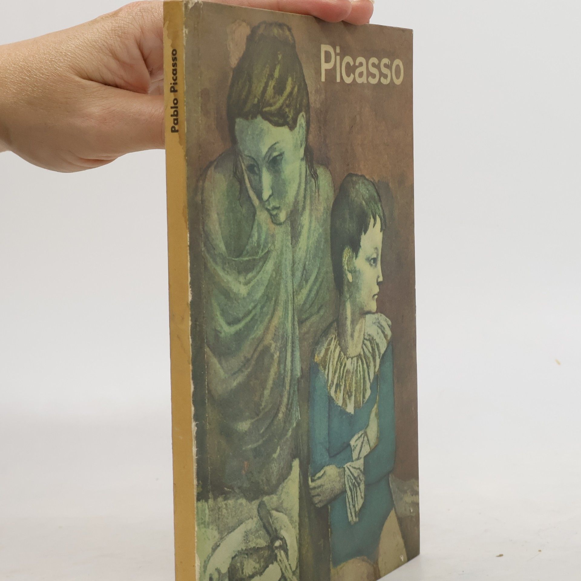 Kolektiv autorů Picasso
