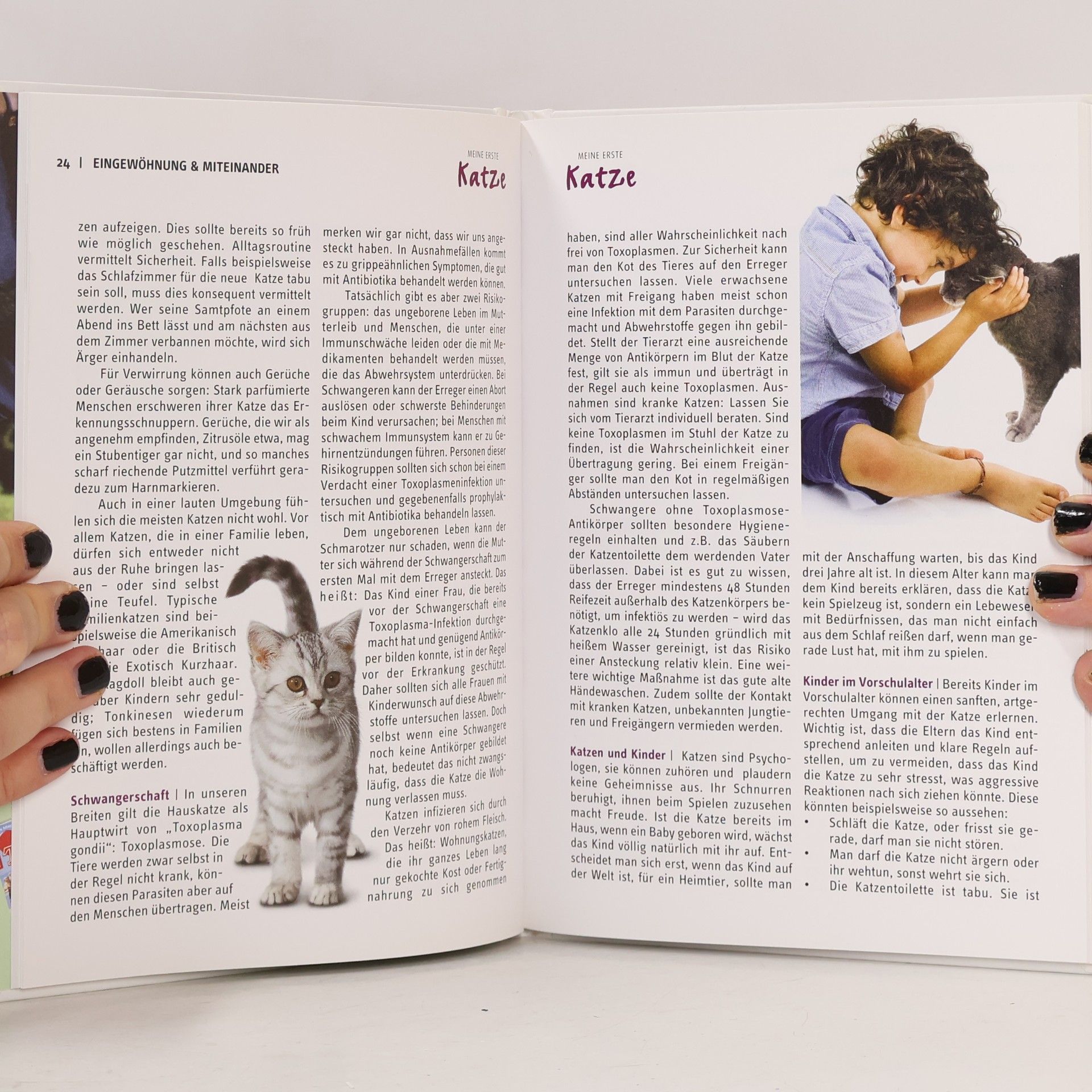 Ursula Birr Meine erste Katze