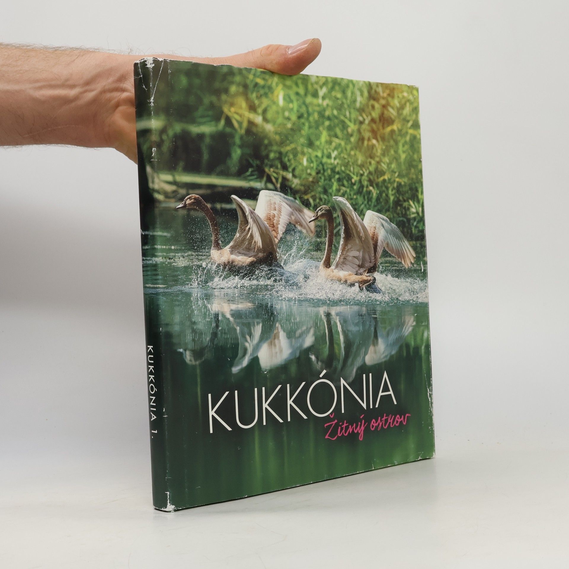 Jitka Rožňová Kukkónia : Žitný ostrov