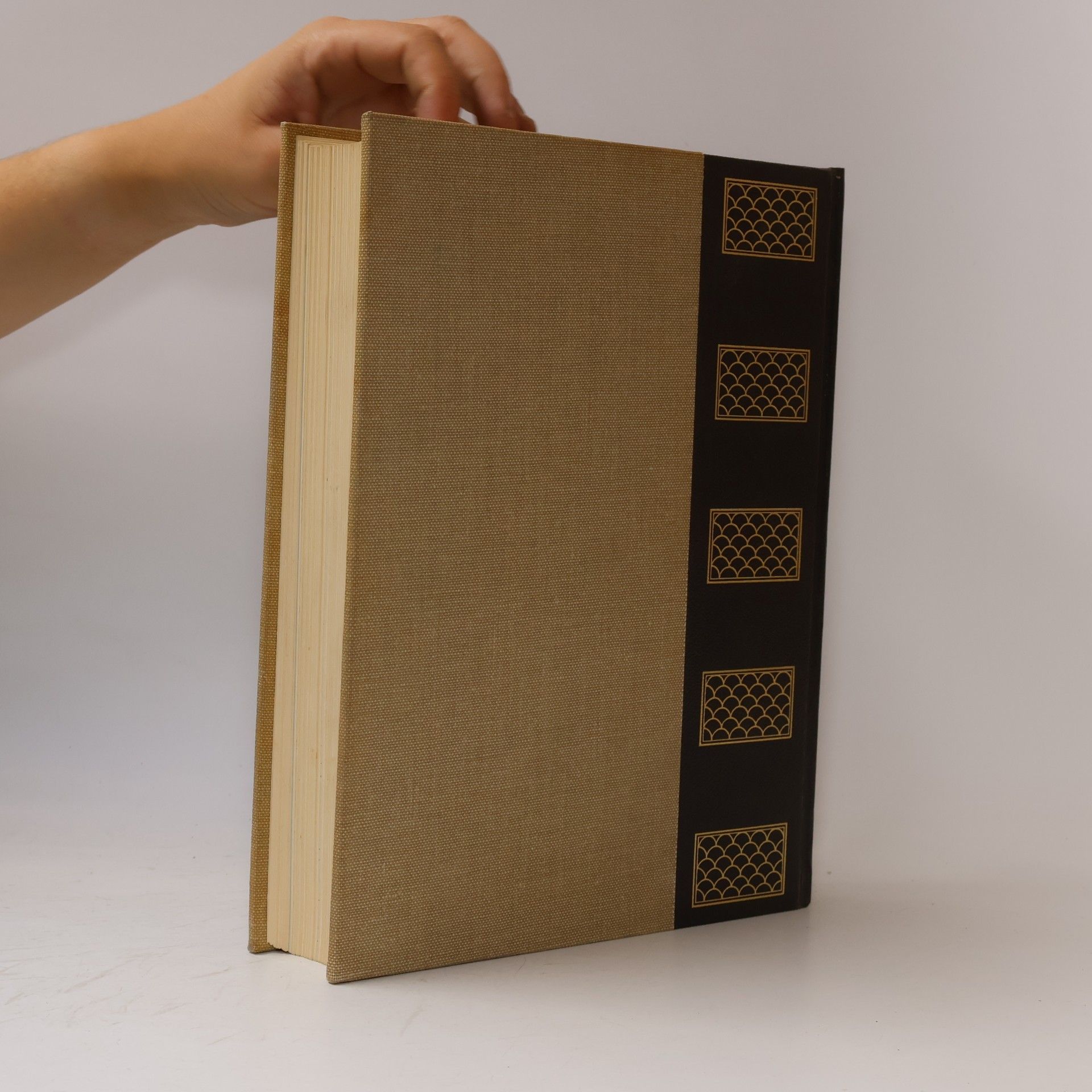 Autorenkollektiv Enciclopedia Universale Rizzoli Larousse IV.
