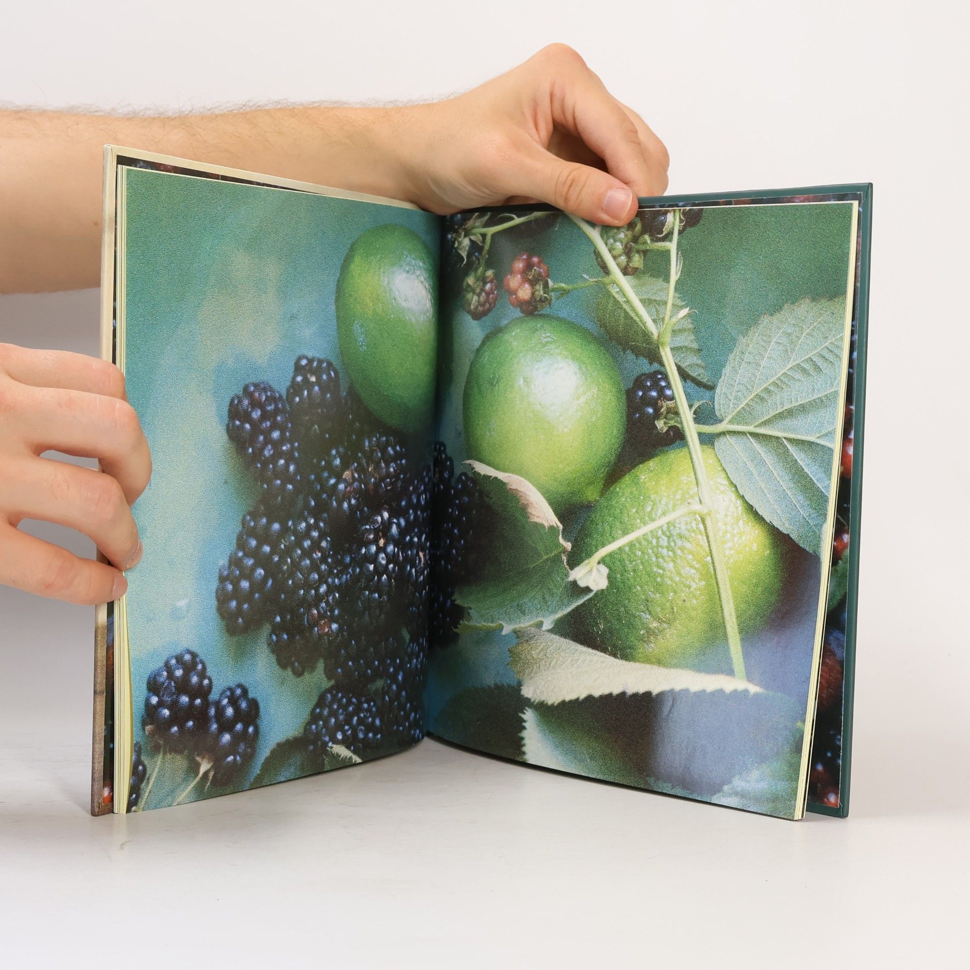 Sharon Kramis Beeren
