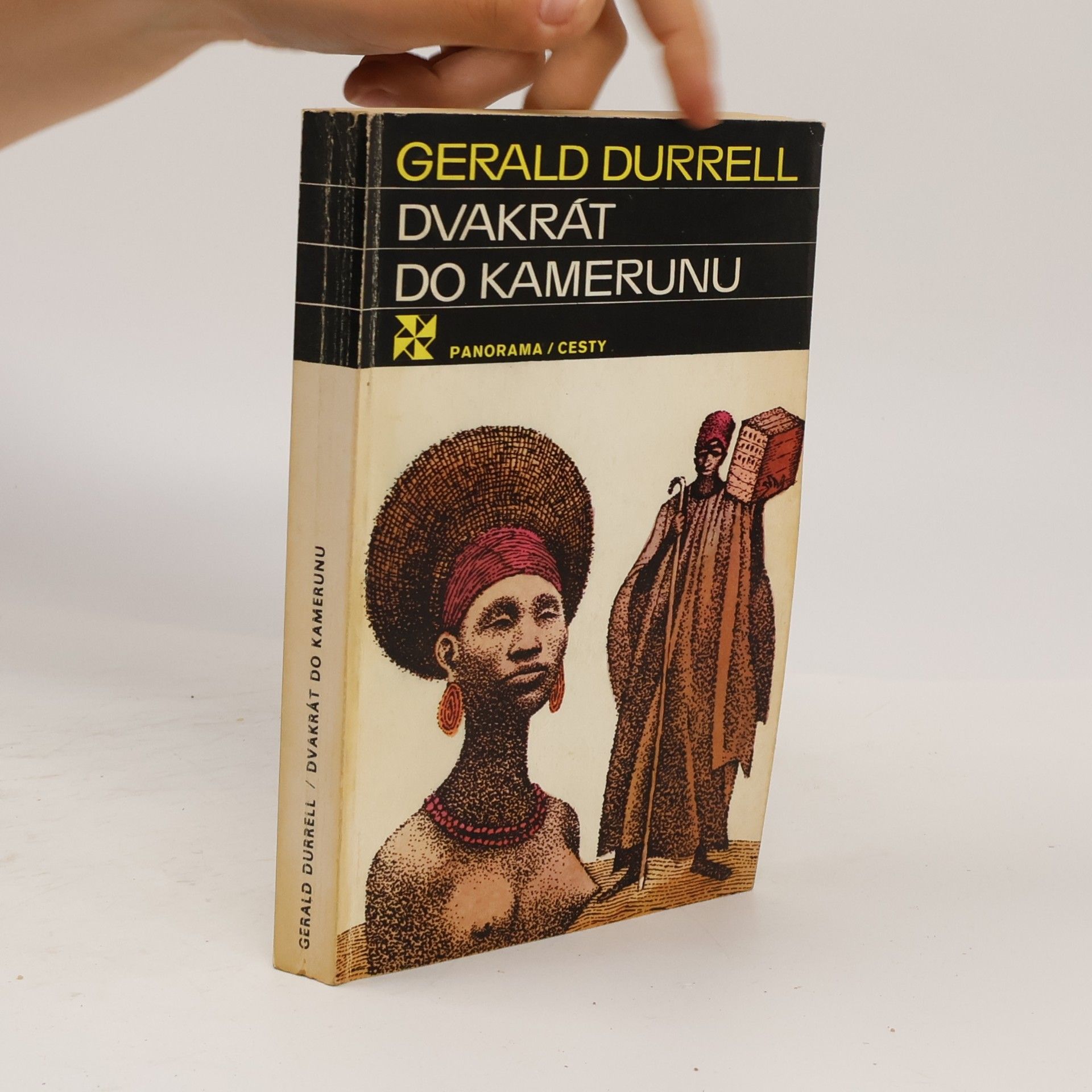 Dvakrát do Kamerunu