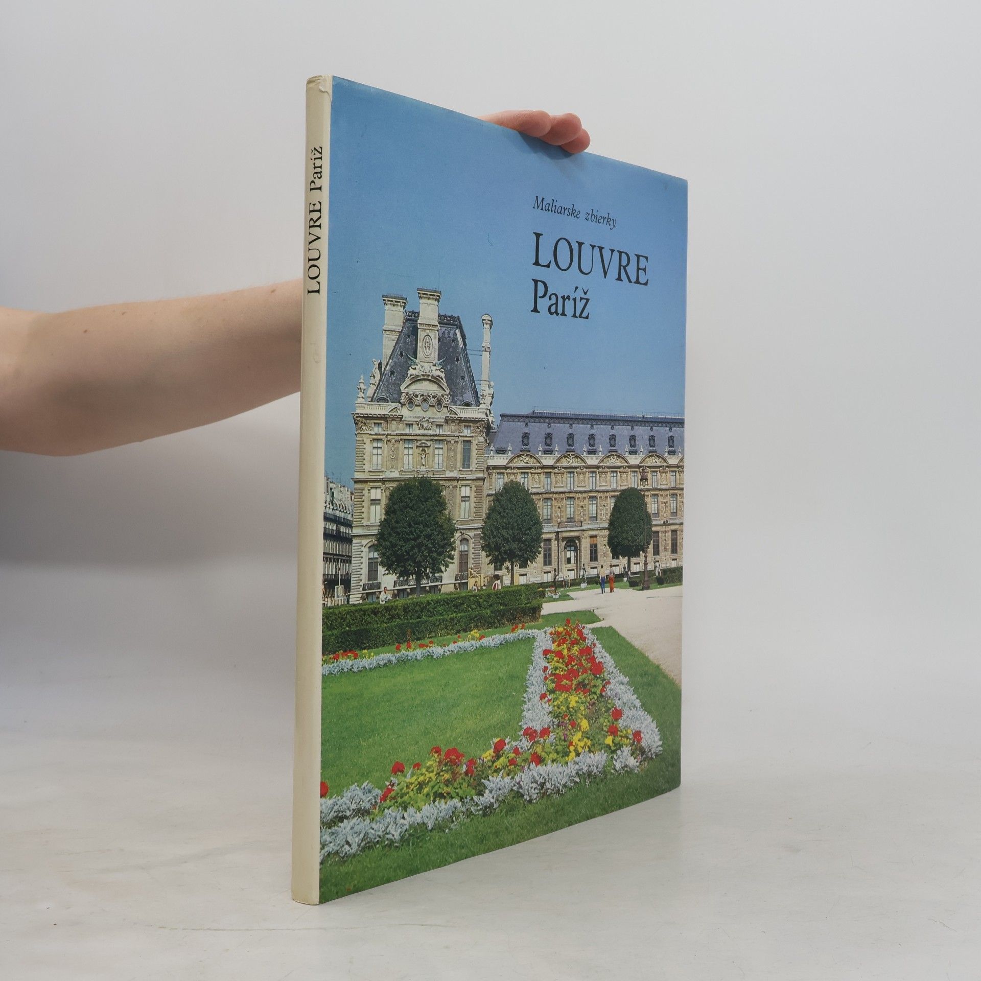 Mia Cinotti Louvre Paríž : Maliarske zbierky