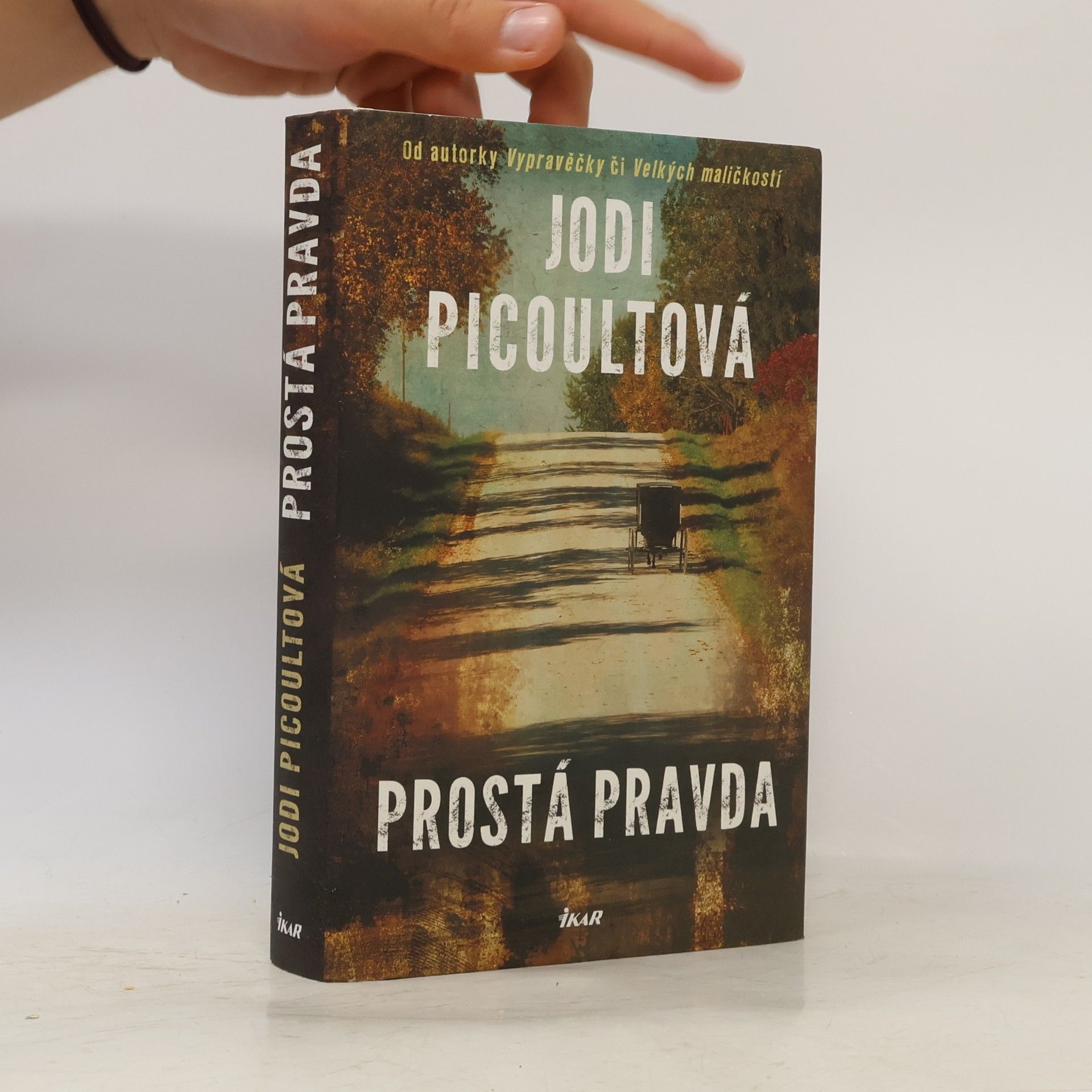 Jodi Picoult Prostá pravda