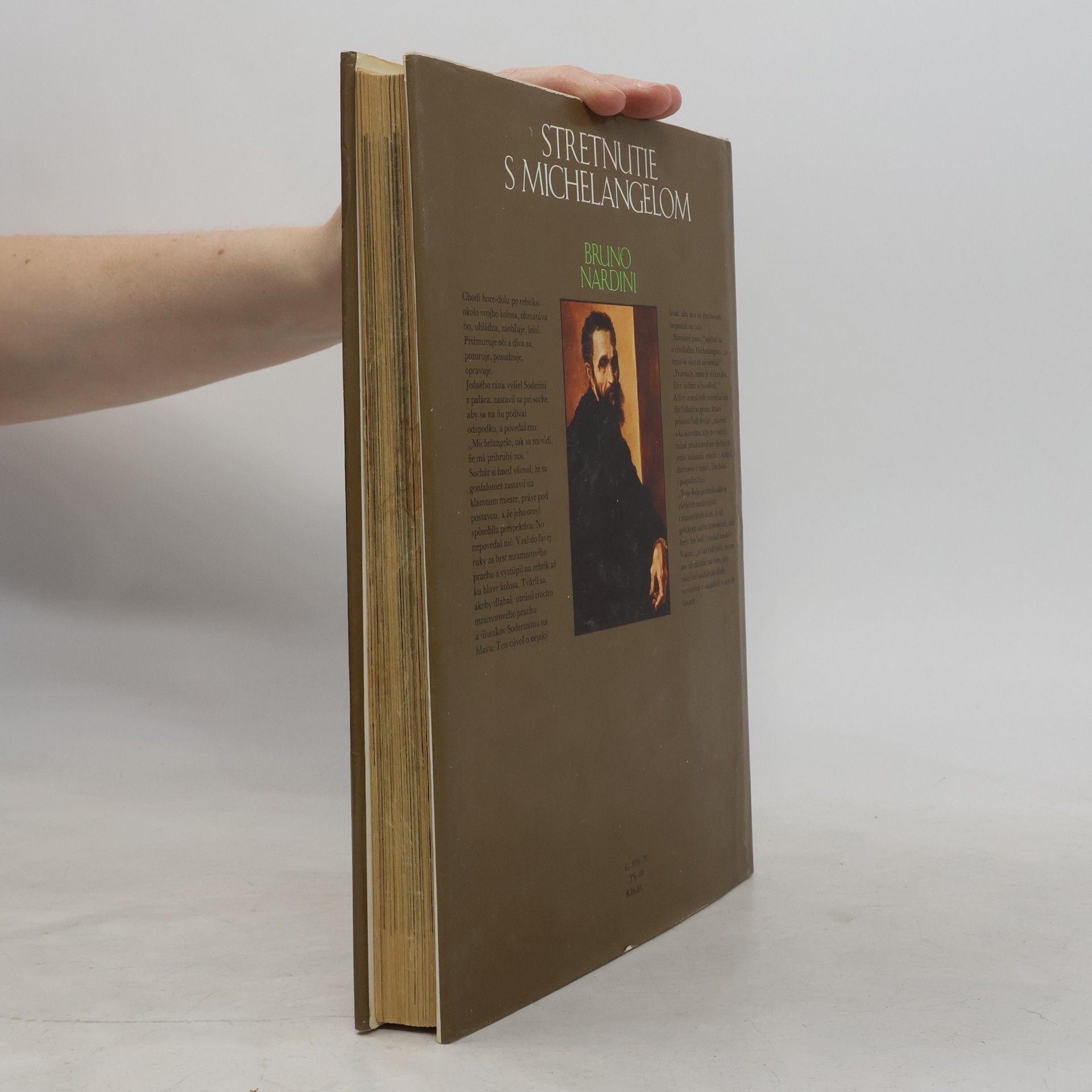 Bruno Nardini Stretnutie s Michelangelom